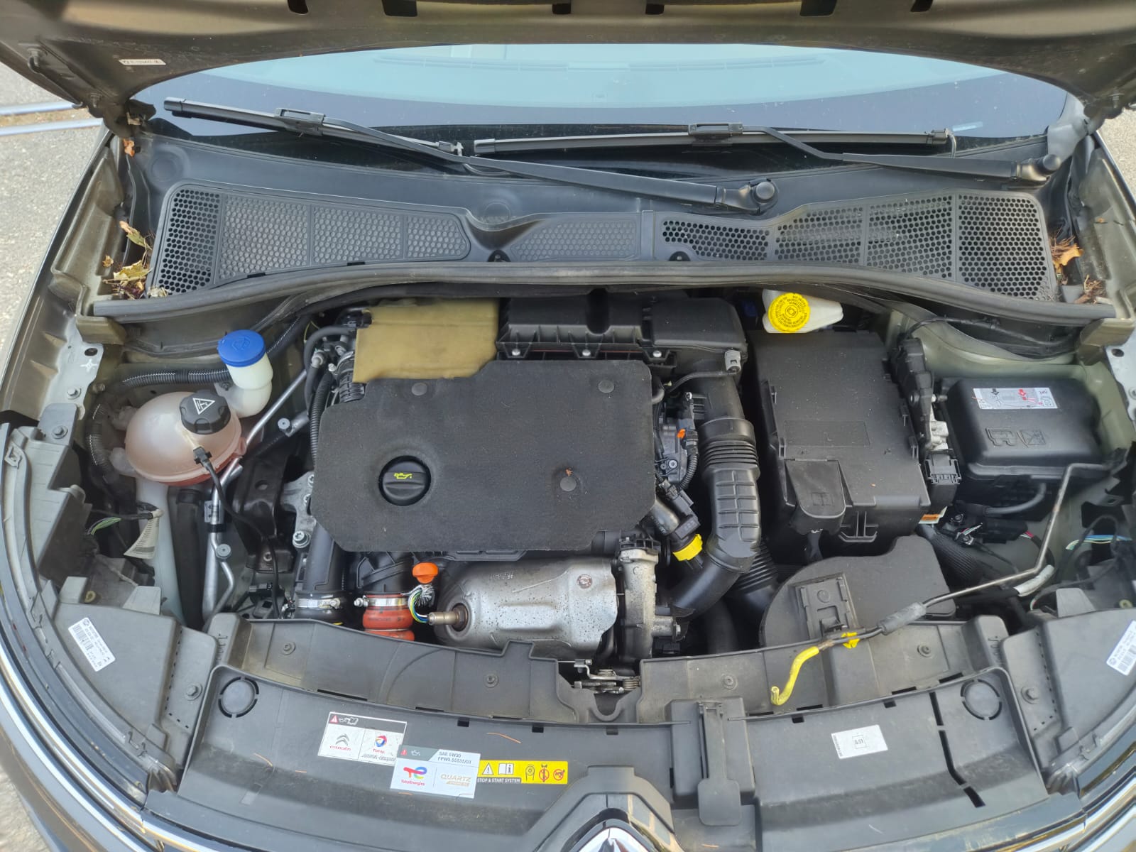 CITROEN C4 Cactus 1.5 Blue HDi Shine EAT6-image-5
