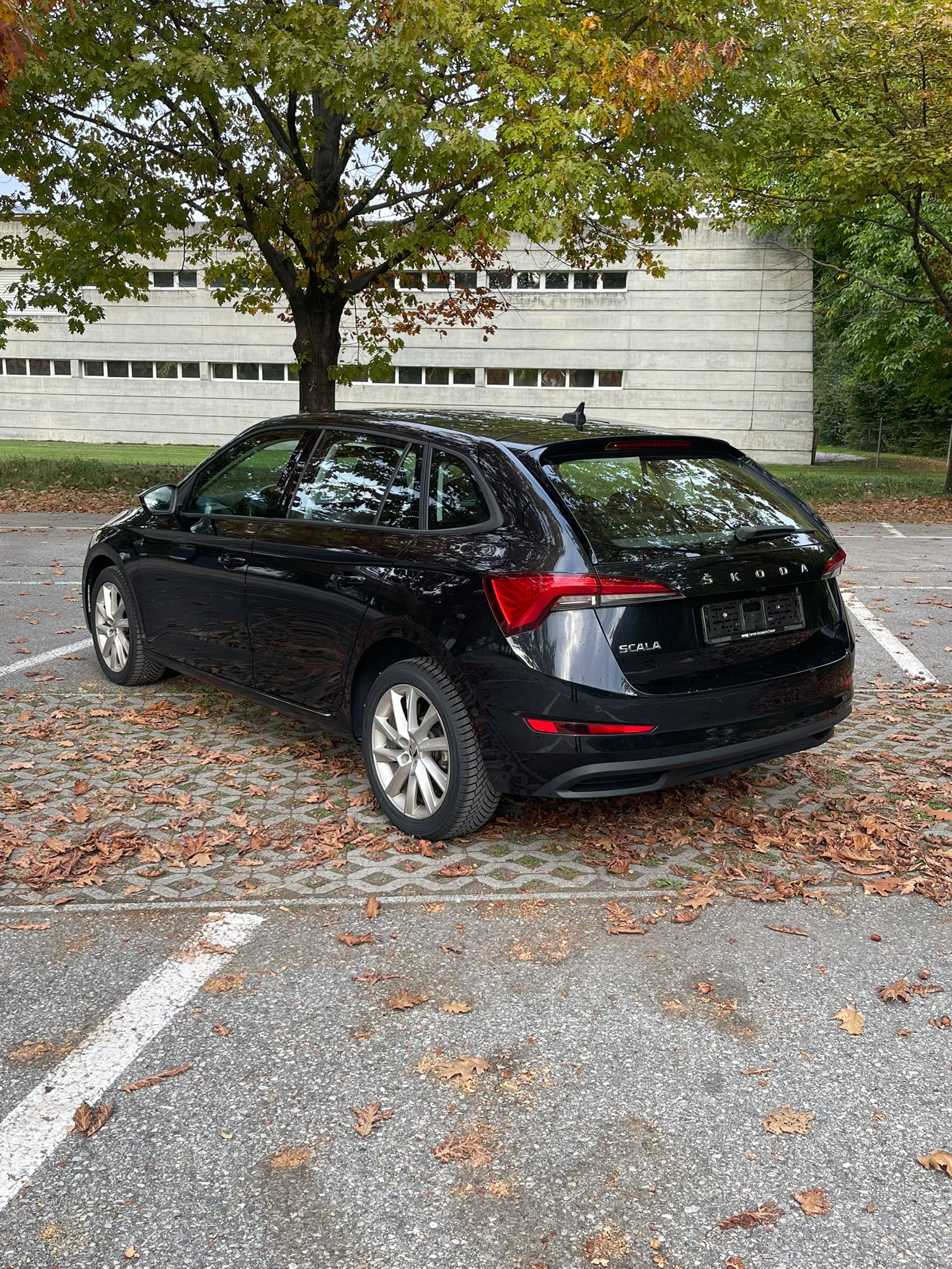 SKODA Scala 1.5 TSI ACT Ambition DSG-image-5