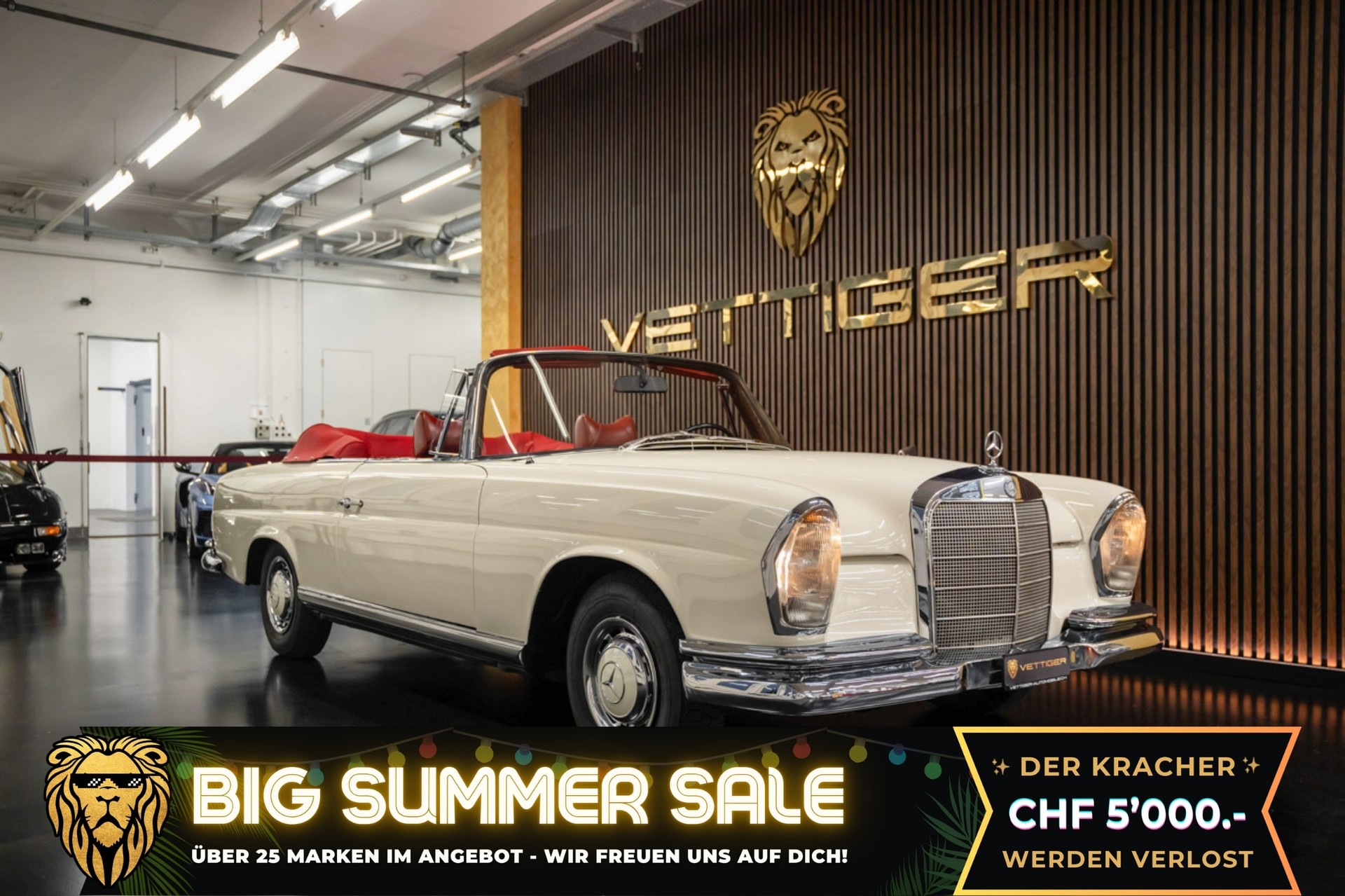 MERCEDES-BENZ 220 SE/b