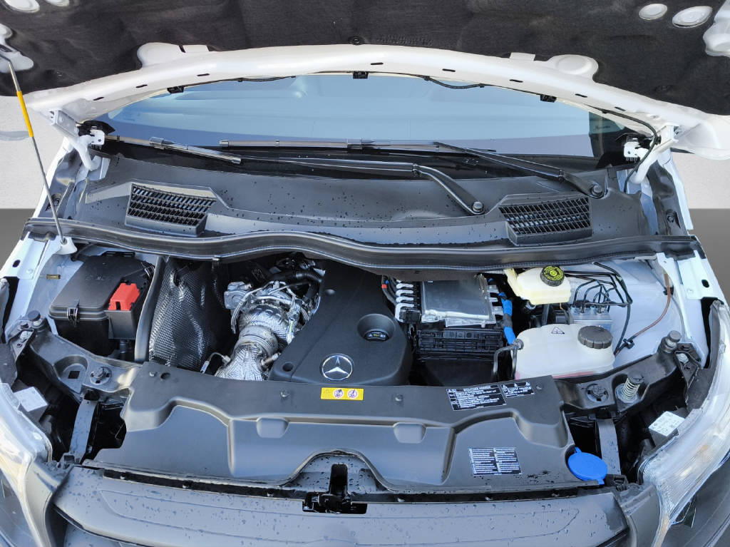 MERCEDES-BENZ Vito 114 Kaw. L CDI Pro Worker-image-8
