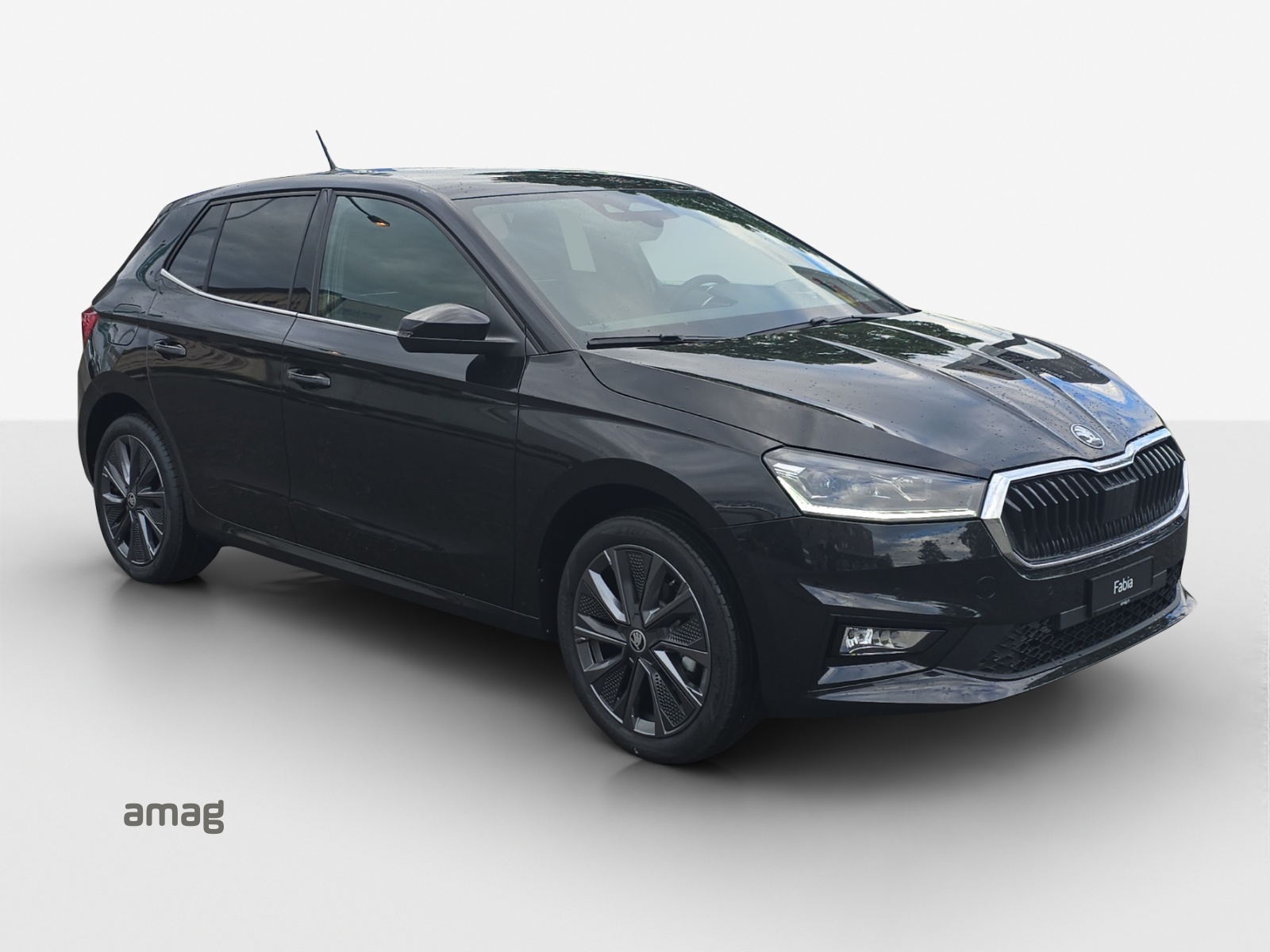 SKODA Fabia 1.0 TSI Dynamic DSG-image-5