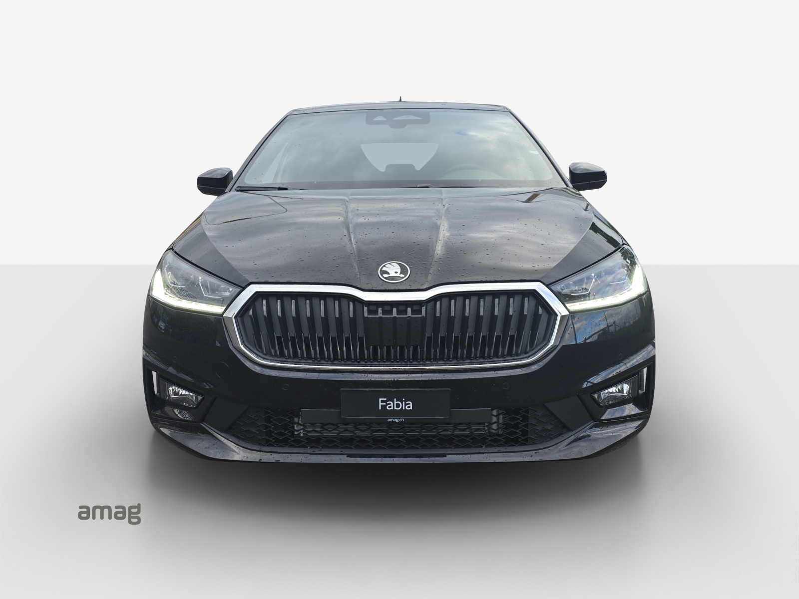 SKODA Fabia 1.0 TSI Dynamic DSG-image-6