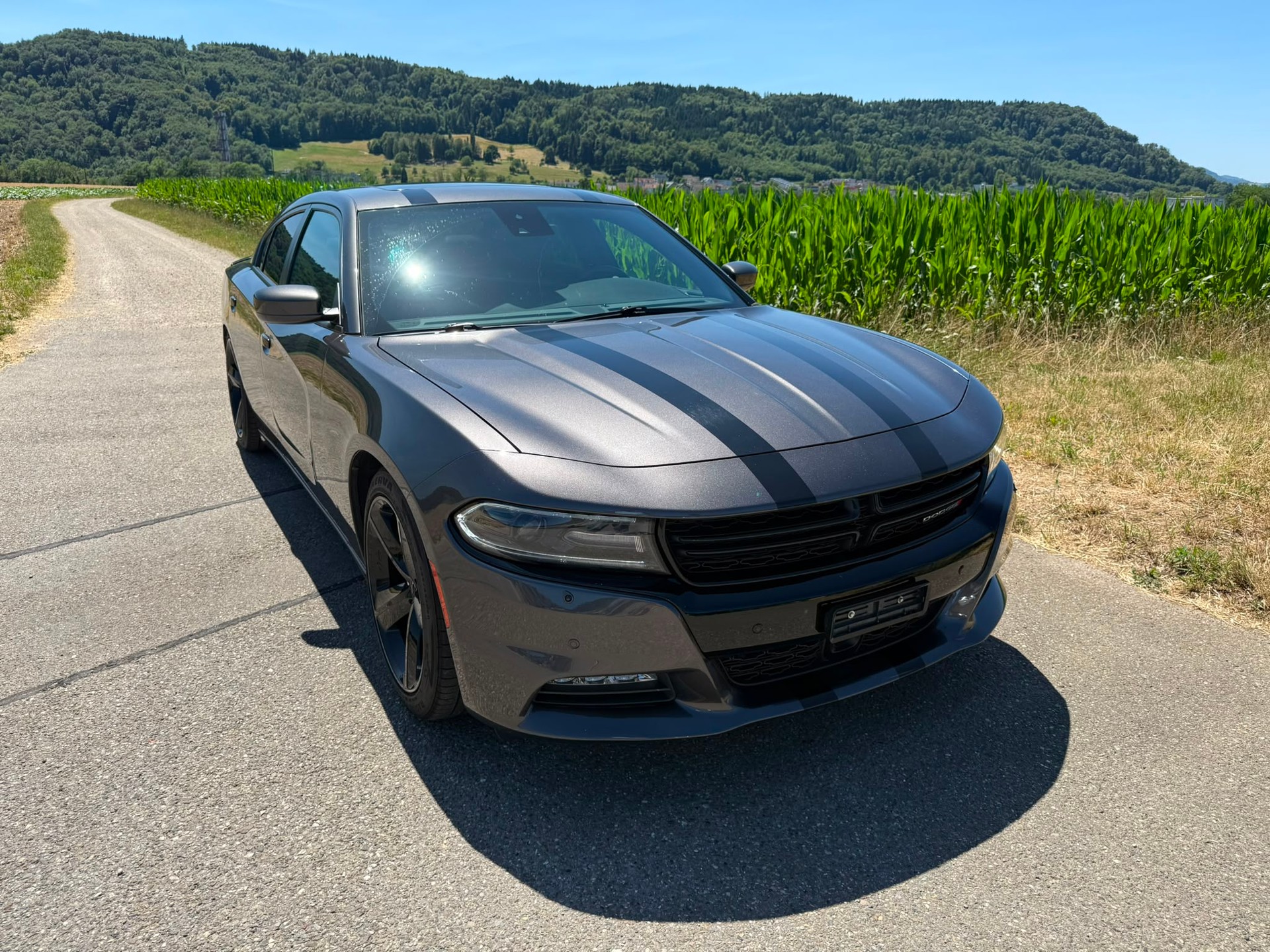DODGE SXT Ralley-image-6