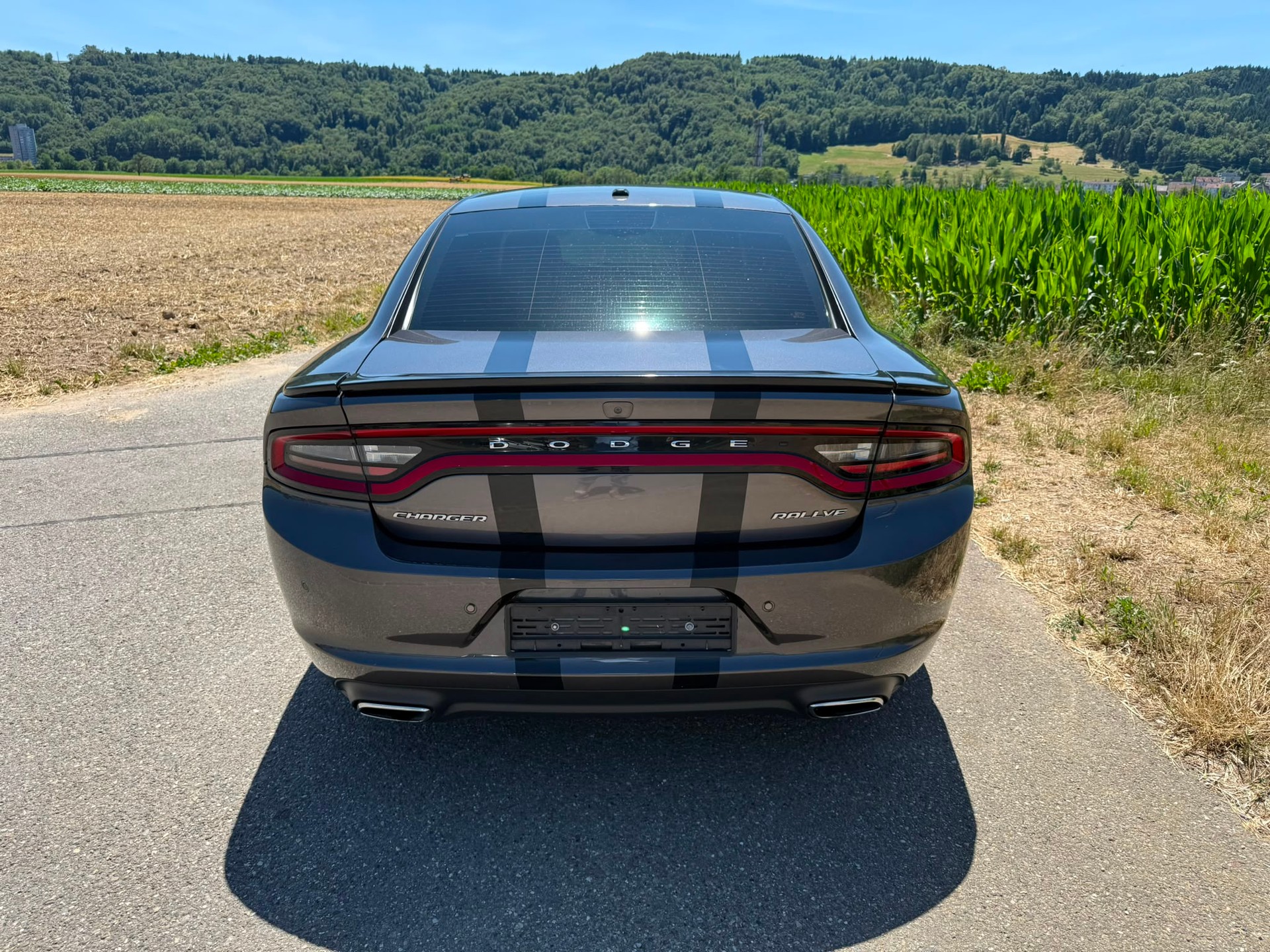 DODGE SXT Ralley-image-3