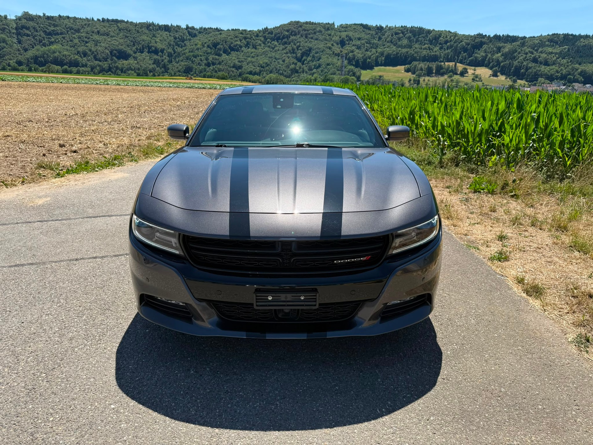 DODGE SXT Ralley-image-7