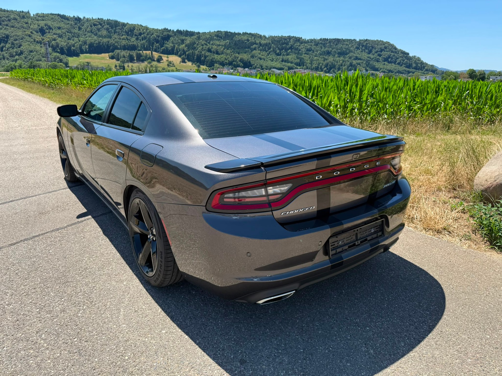 DODGE SXT Ralley-image-2