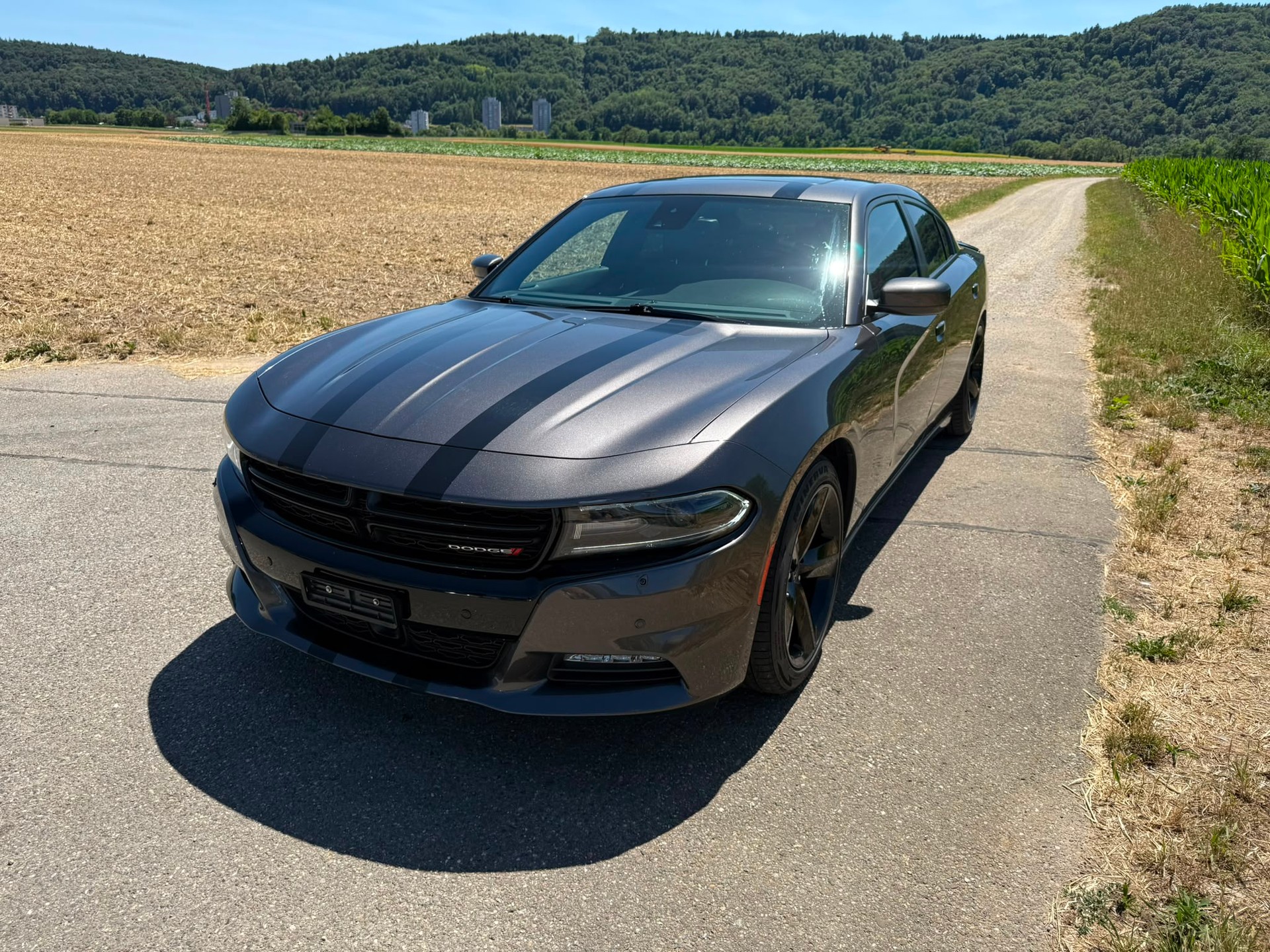 DODGE SXT Ralley-image-0
