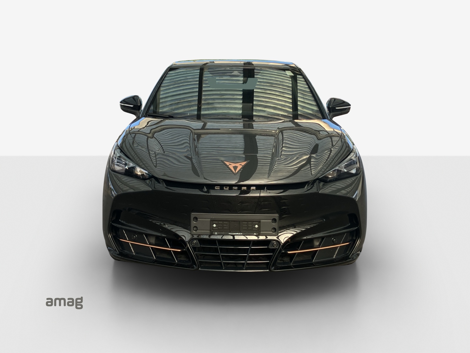 CUPRA Tavascan Type 8 77 kWh VZ-image-6