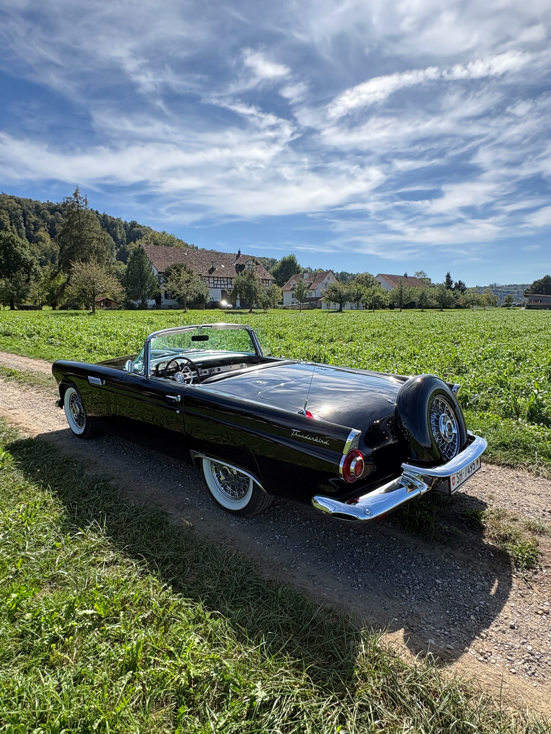 FORD Convertible, P‐Code 312 Thunderbird Special V8-image-3