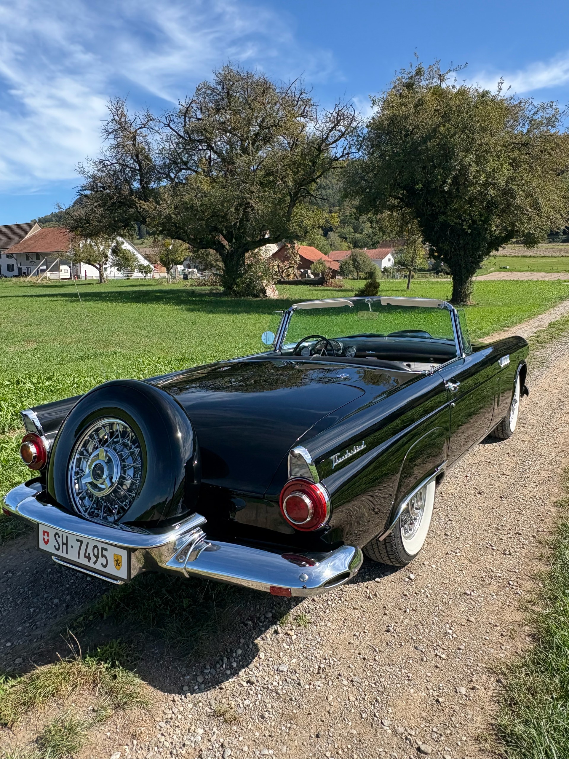 FORD Convertible, P‐Code 312 Thunderbird Special V8-image-6