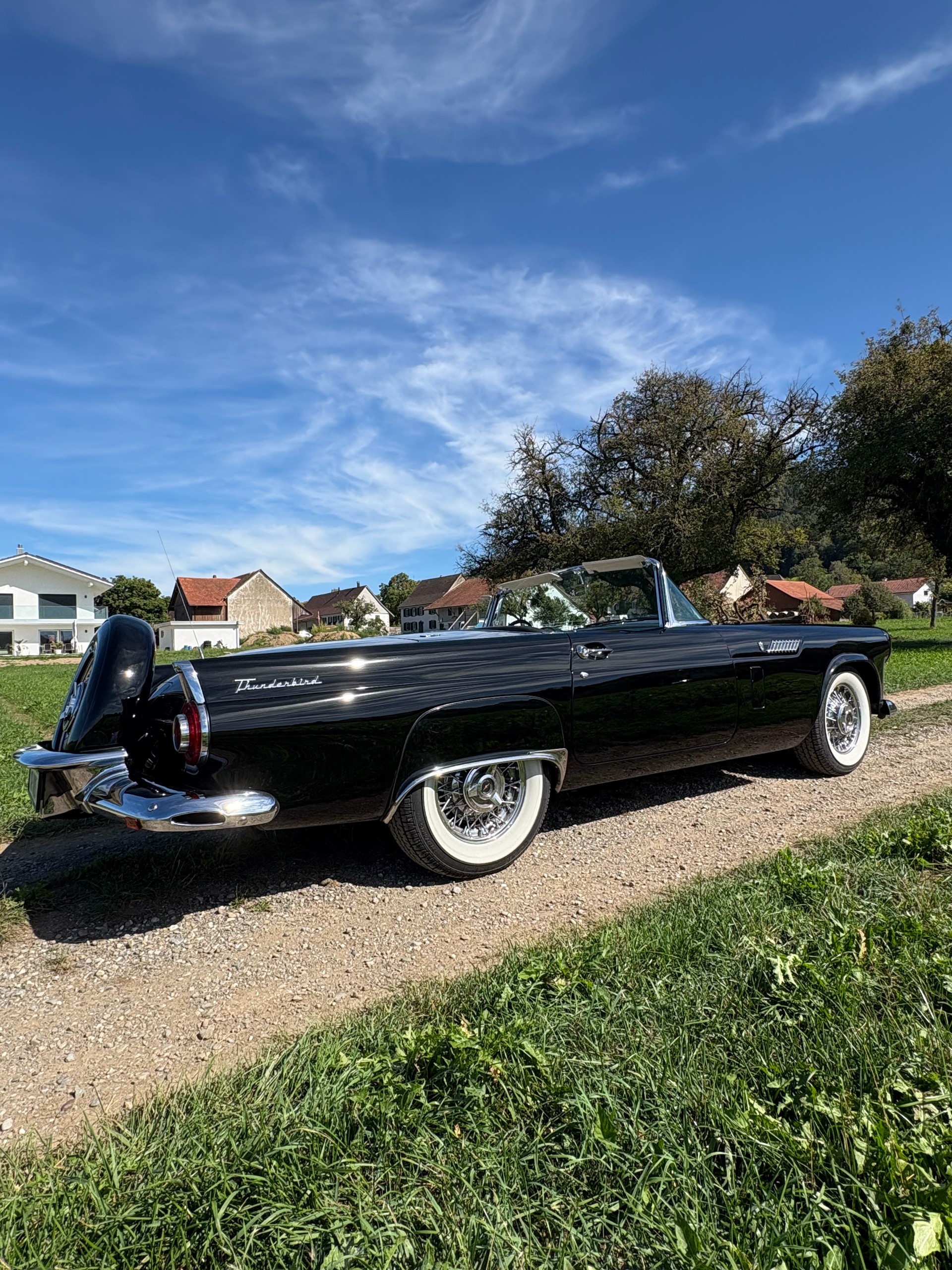 FORD Convertible, P‐Code 312 Thunderbird Special V8-image-7