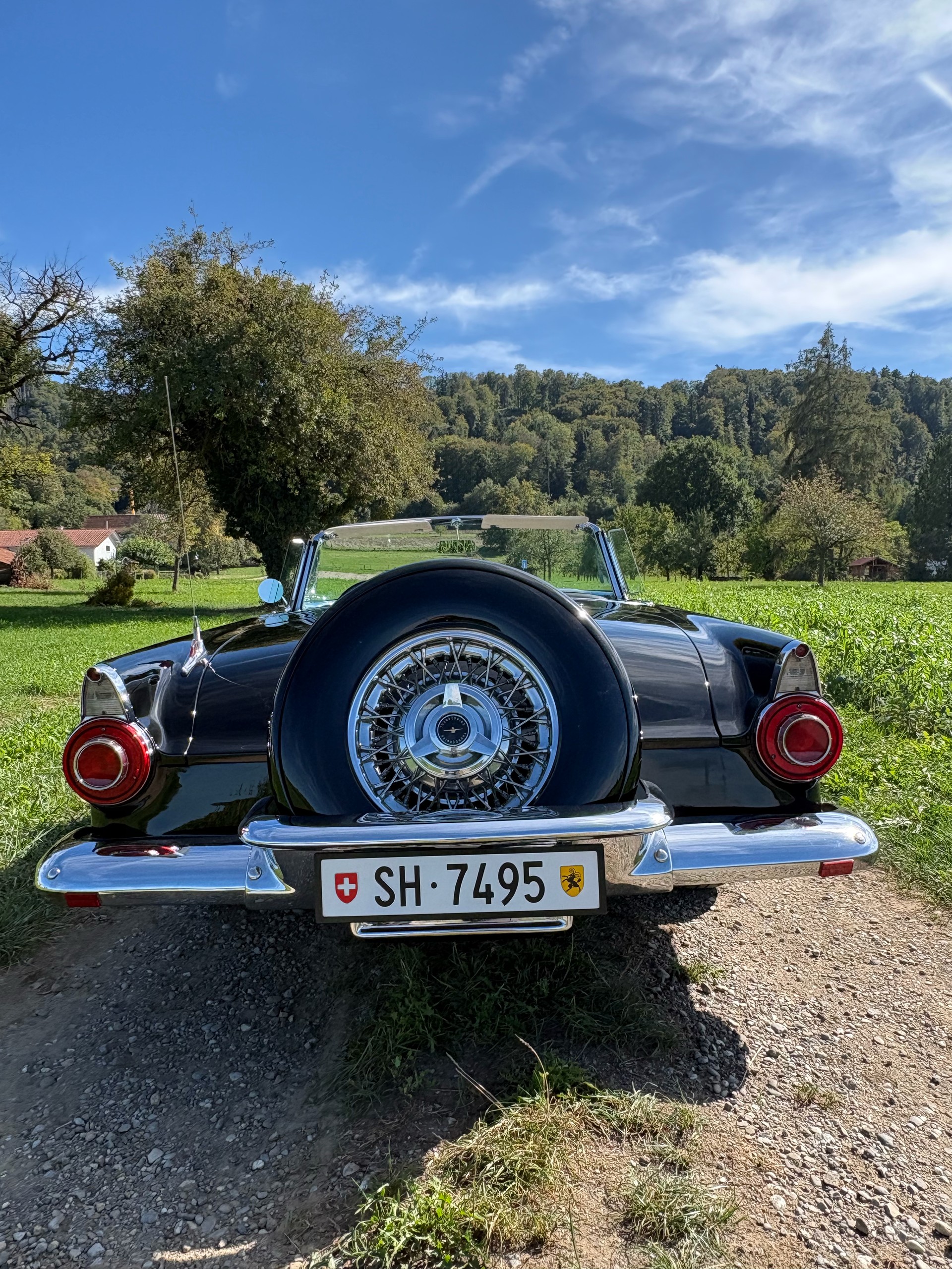 FORD Convertible, P‐Code 312 Thunderbird Special V8-image-5