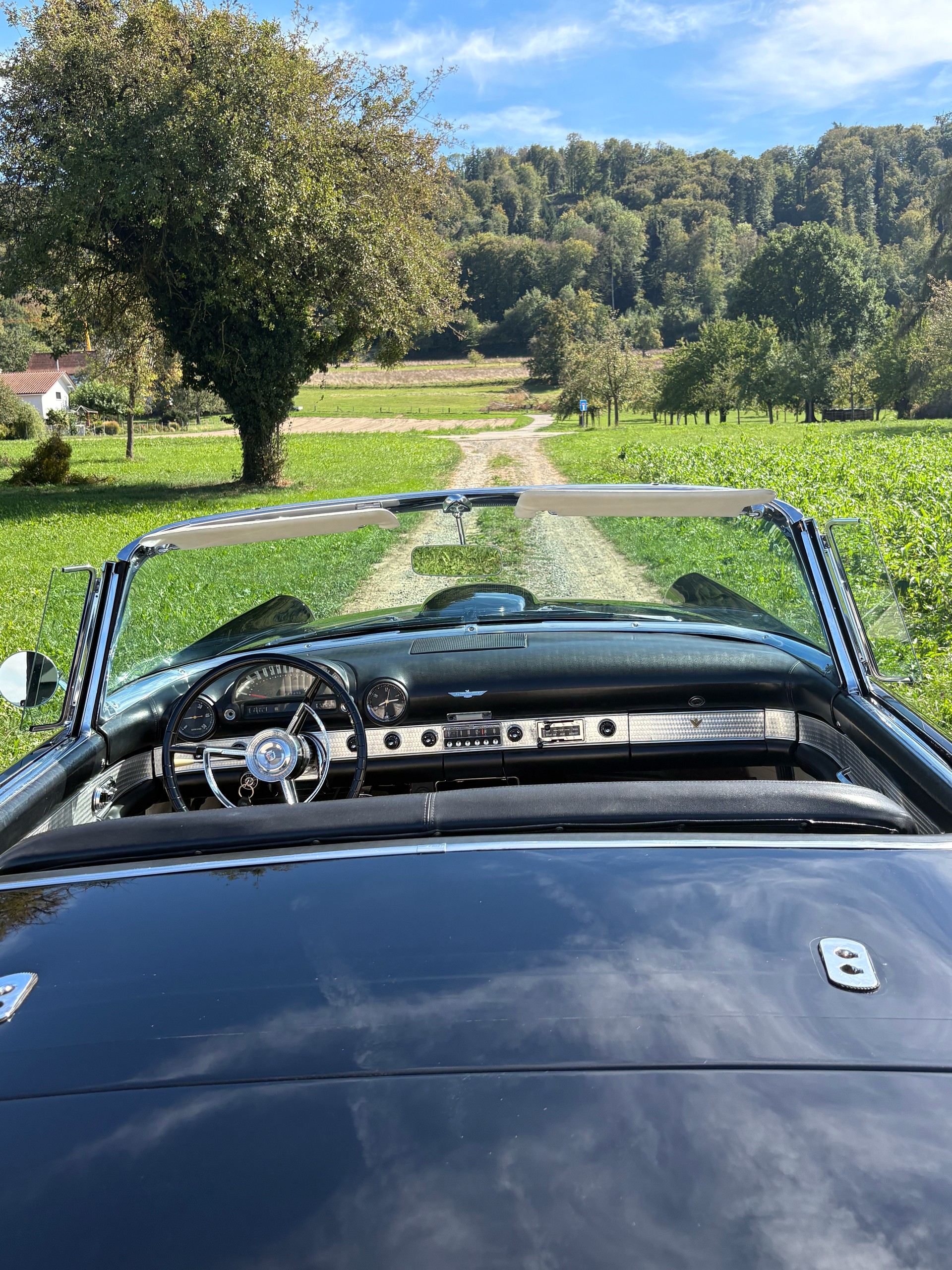 FORD Convertible, P‐Code 312 Thunderbird Special V8-image-8