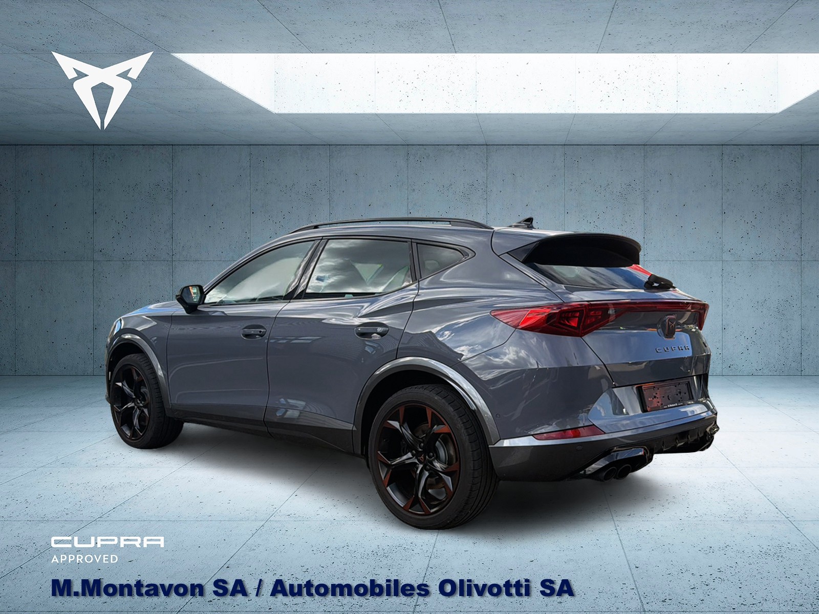 CUPRA Formentor 2.0TSI VZ 4Drive DSG-image-6