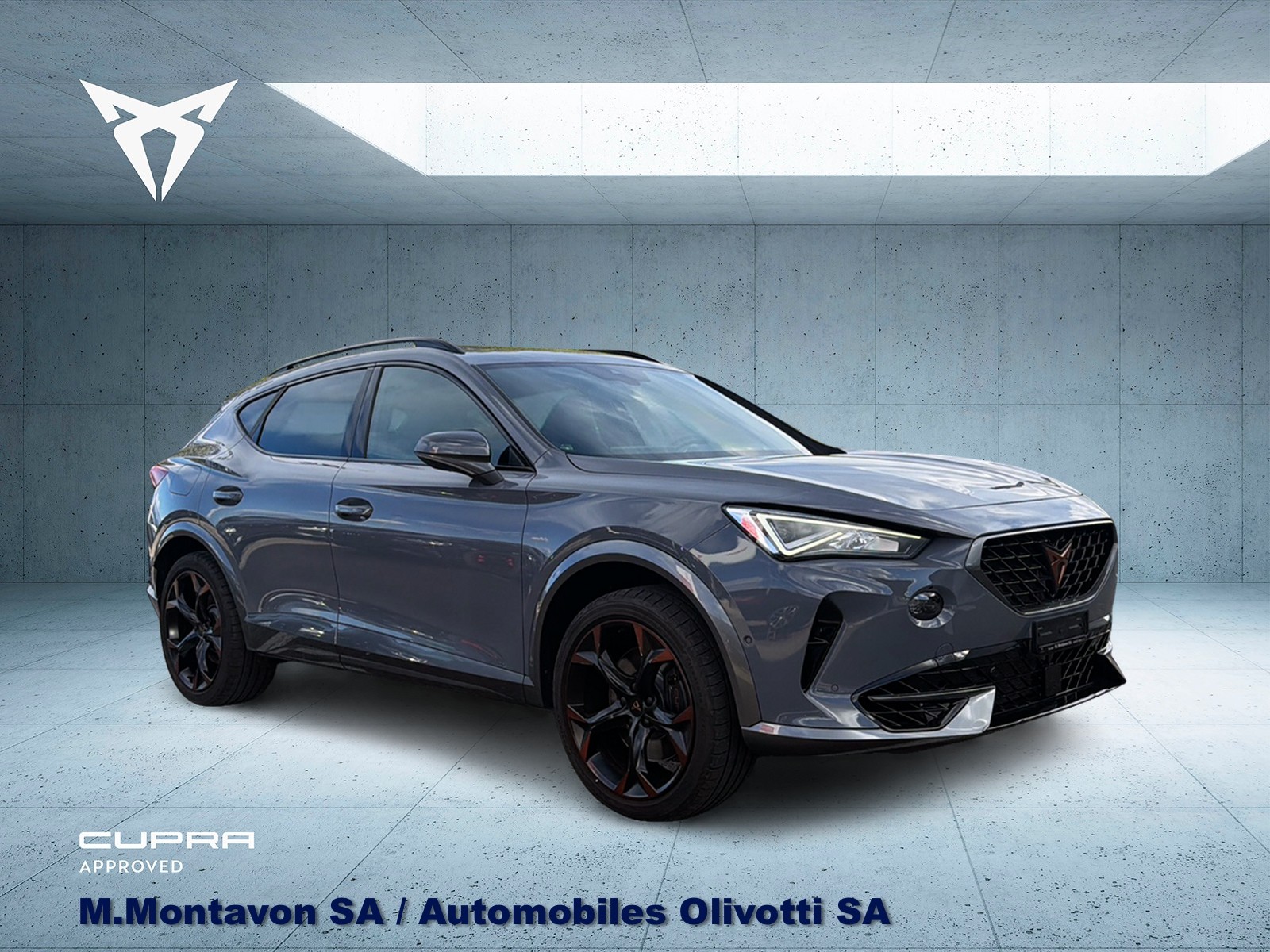 CUPRA Formentor 2.0TSI VZ 4Drive DSG-image-1