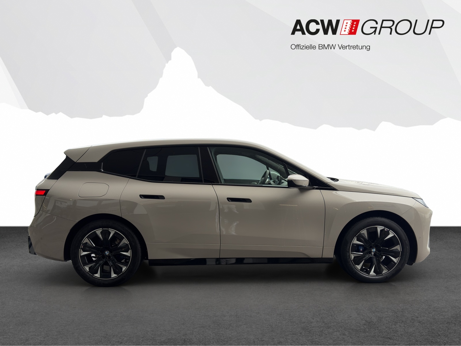 BMW iX xDrive45-image-5