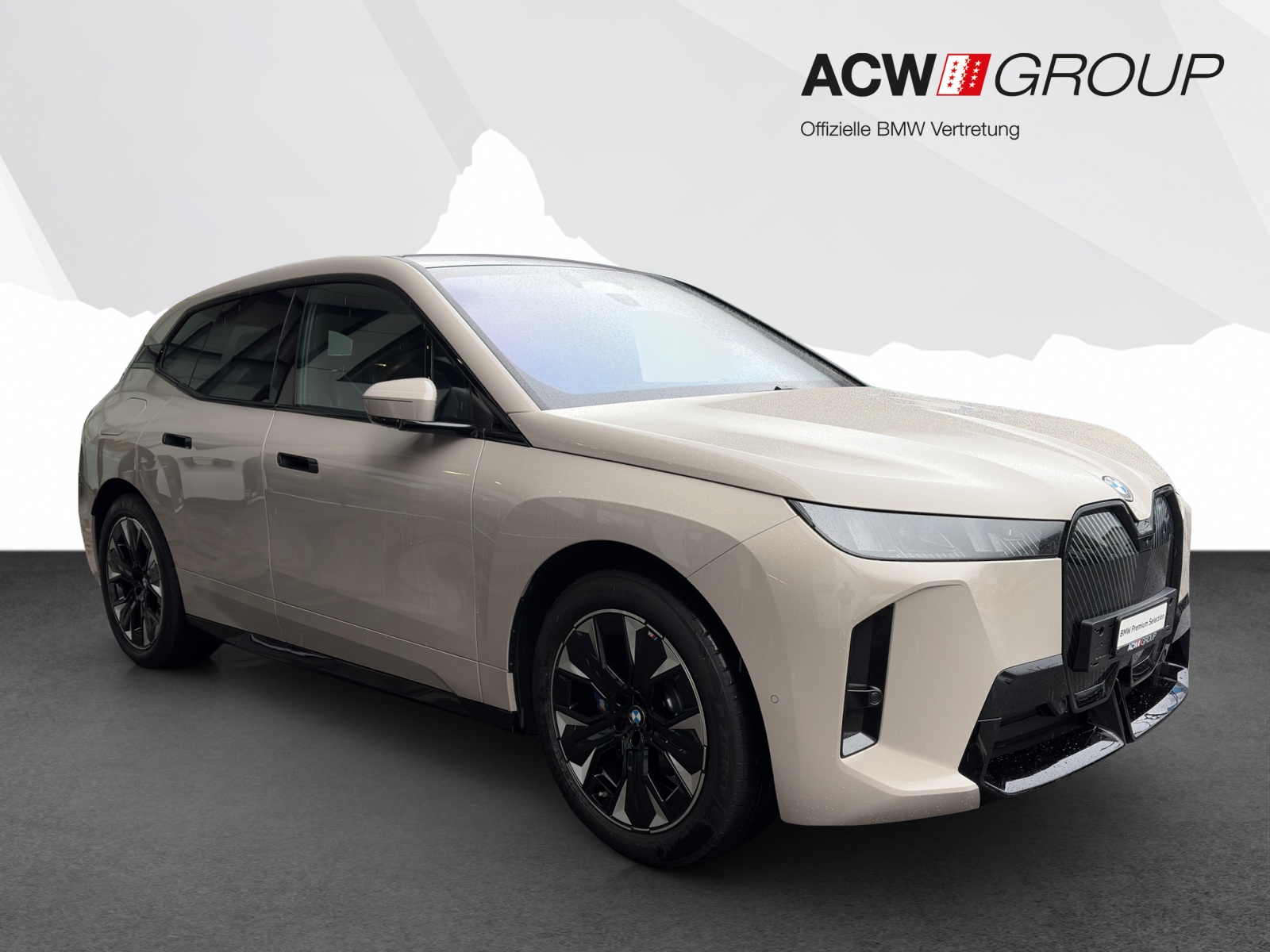 BMW iX xDrive45-image-6