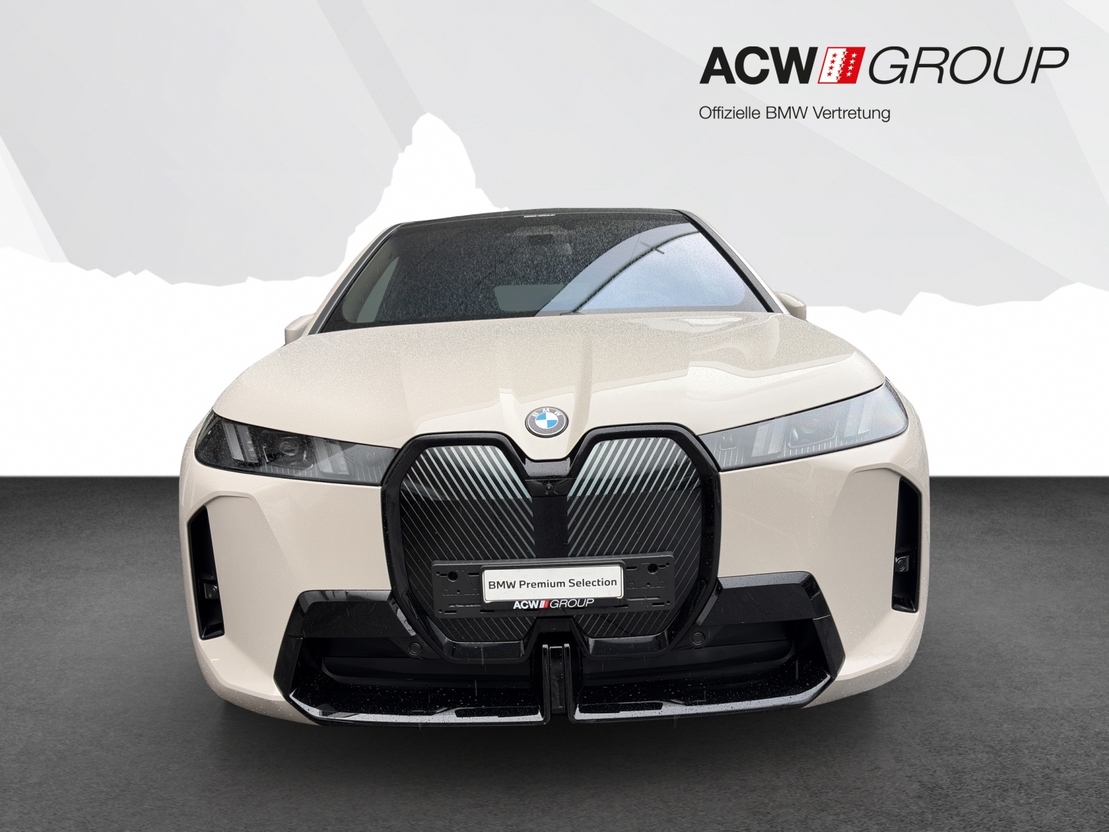 BMW iX xDrive45-image-7