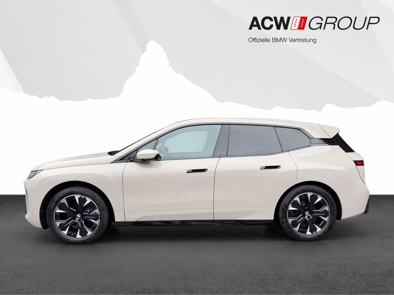 BMW iX xDrive45-image-1