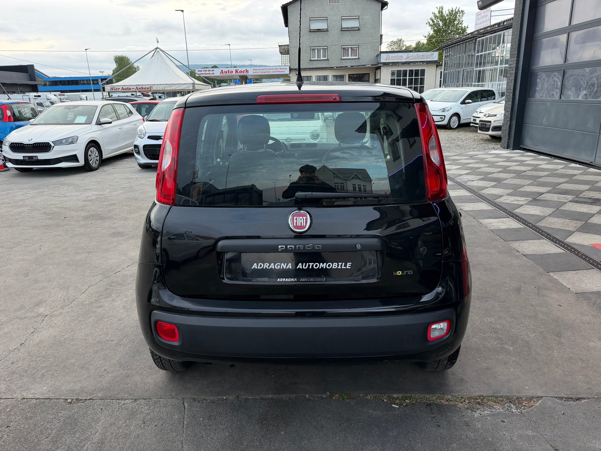 FIAT Panda 1.2 Young-image-6