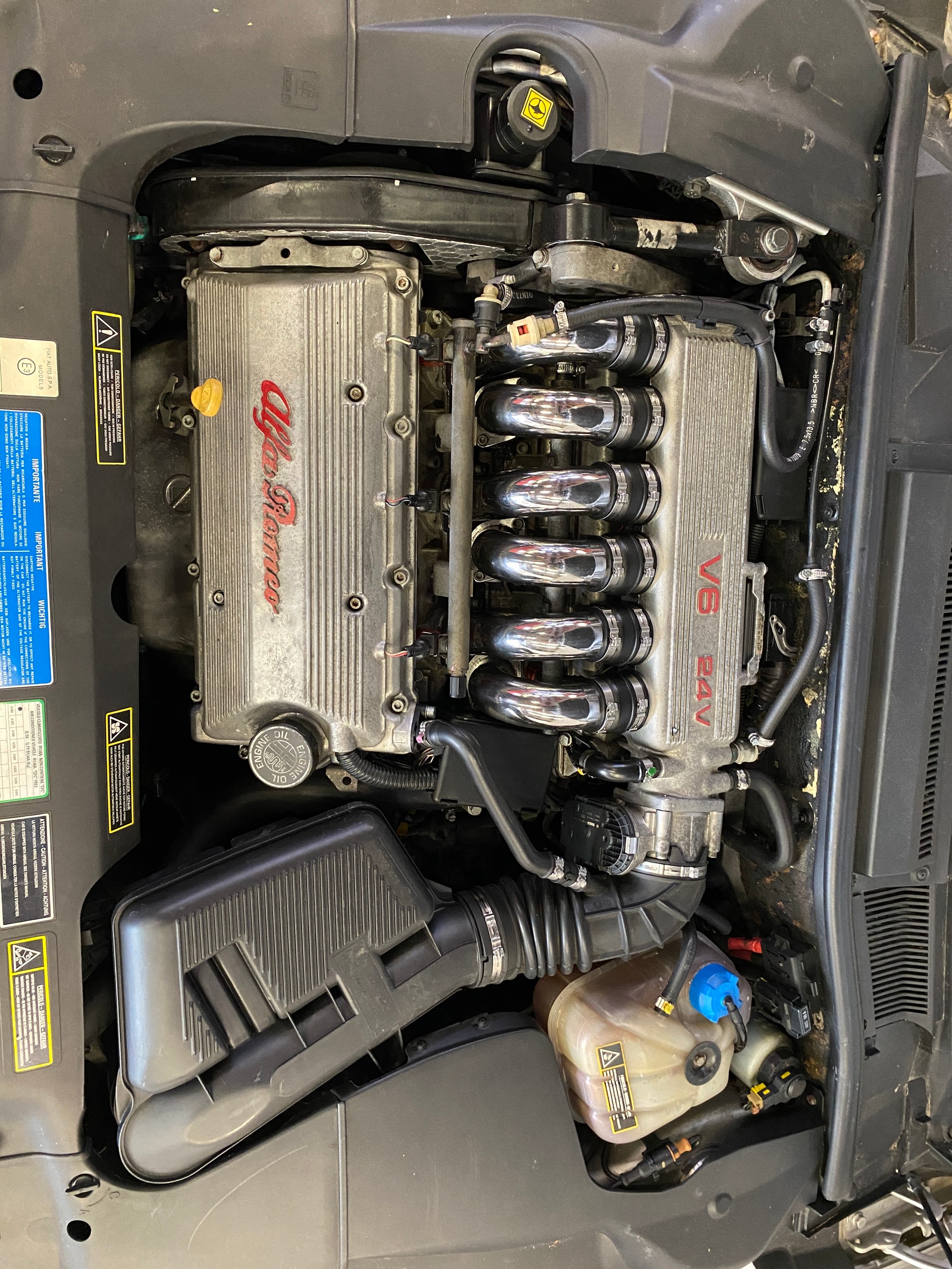 ALFA ROMEO 3.0 v6 24 v motore BUSSO-image-4