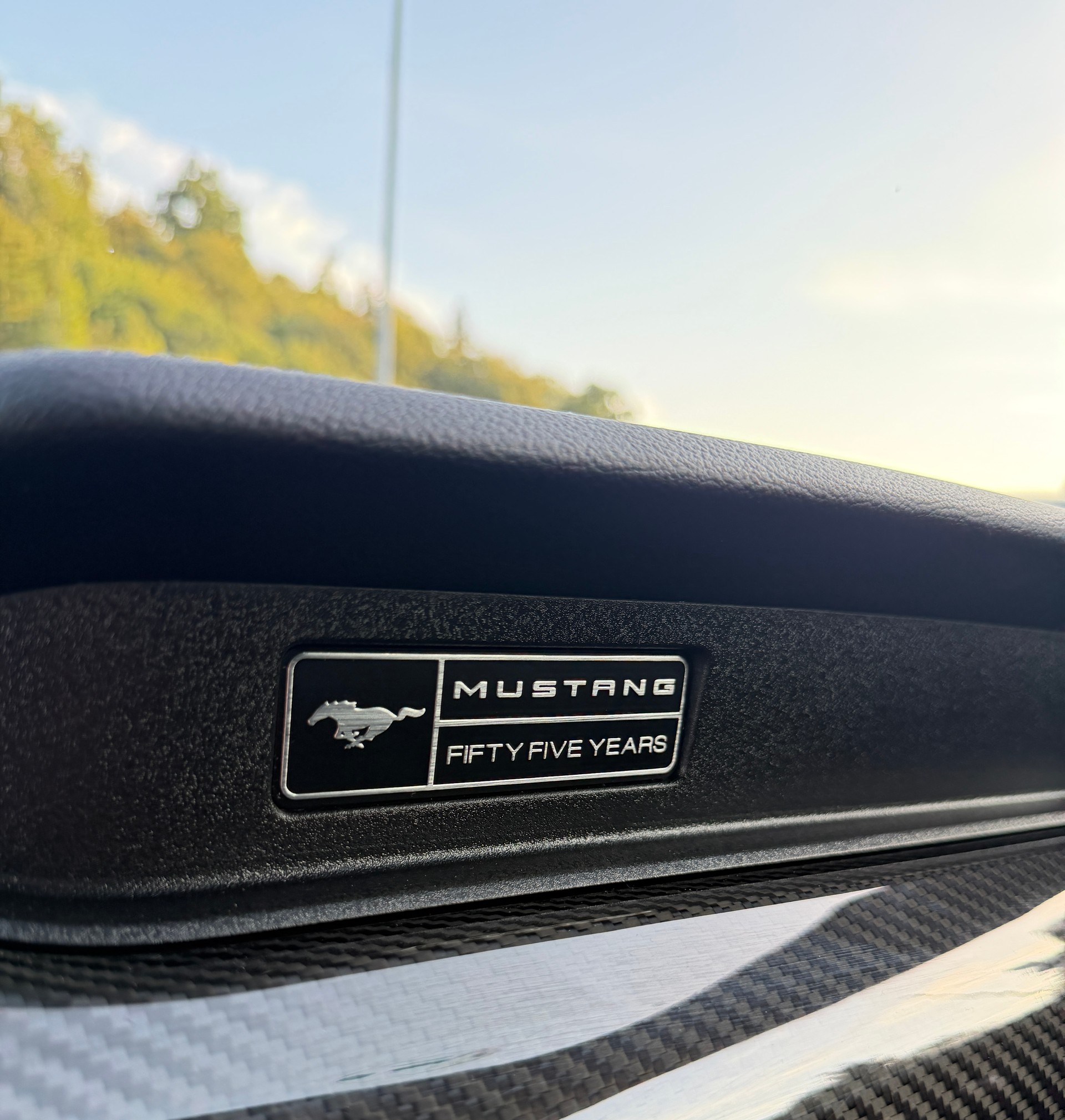 FORD Mustang Convertible 5.0 V8 GT 55 Automat-image-12