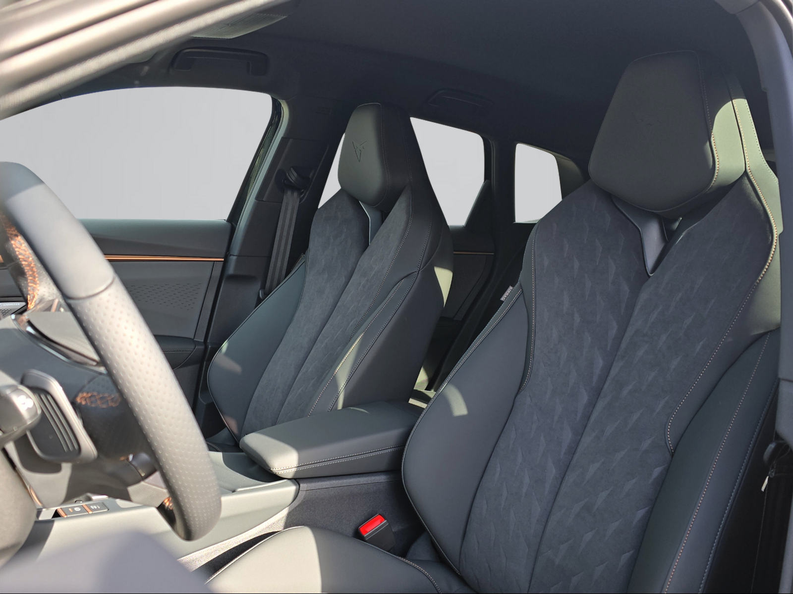 CUPRA Terramar 2.0 TSI Prime Edition DSG 4Drive-image-7