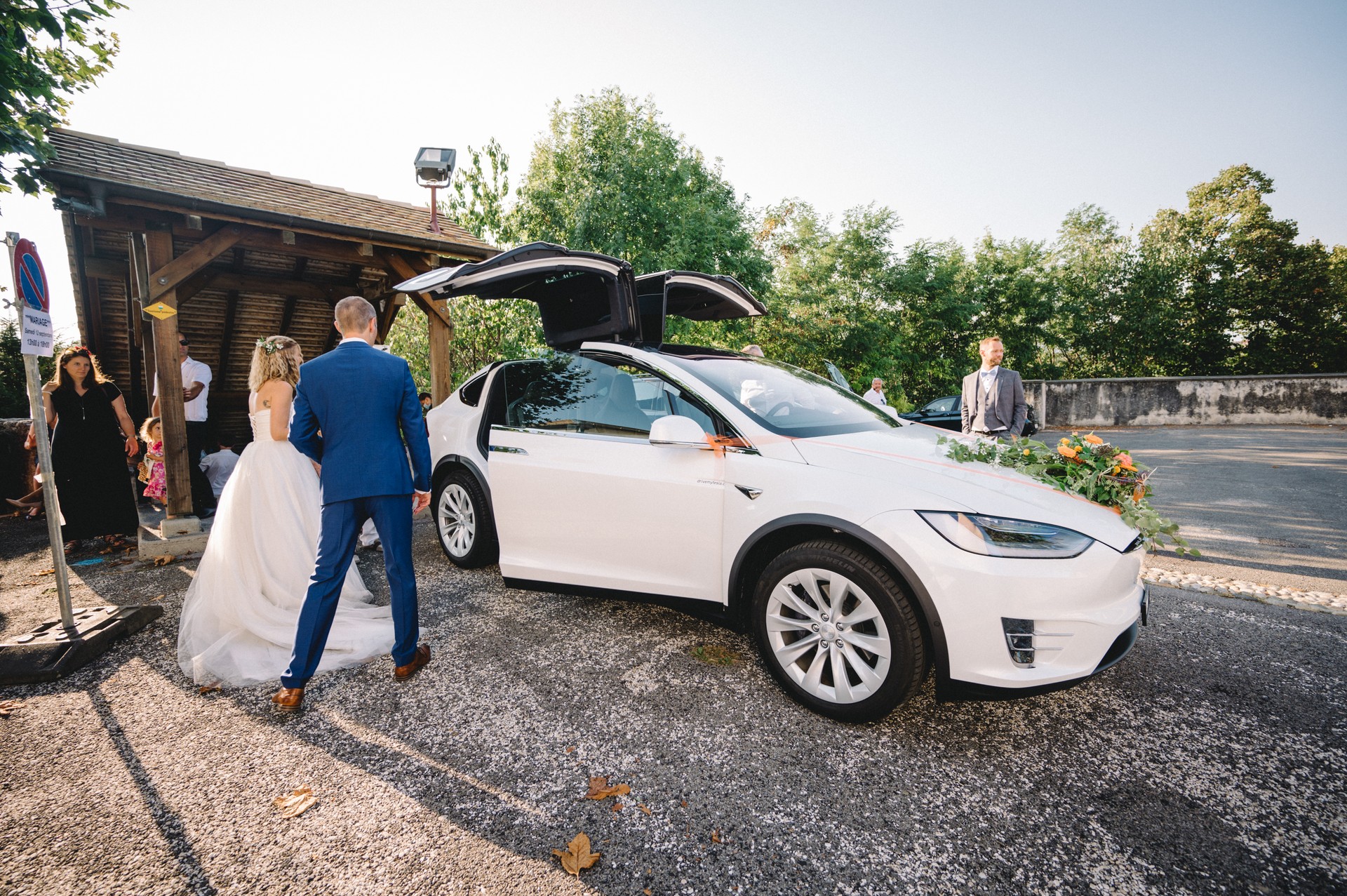 TESLA 7 Places Model X 100D toutes options Raven Long Range 2020-image-1