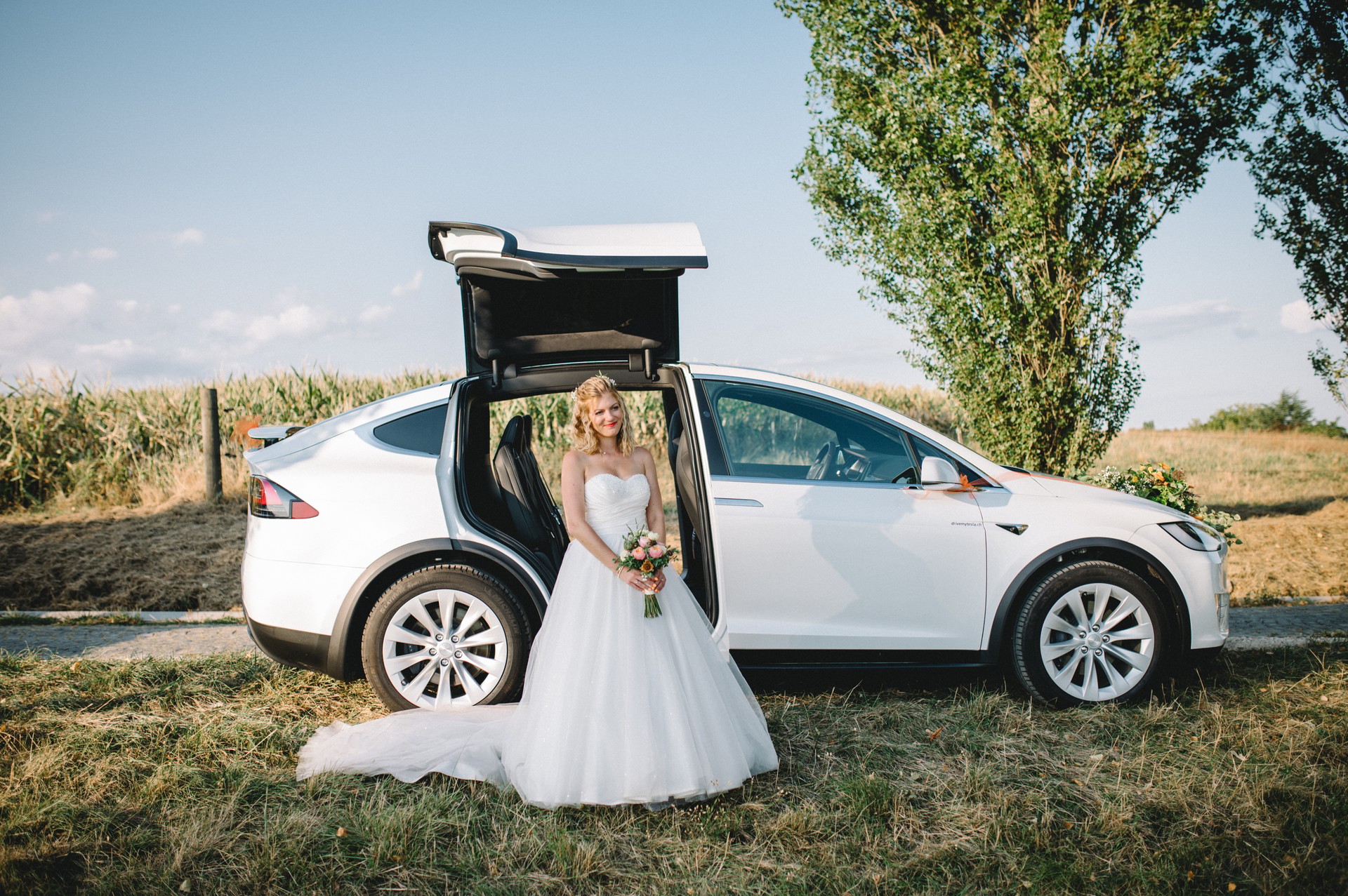 TESLA 7 Places Model X 100D toutes options Raven Long Range 2020-image-2