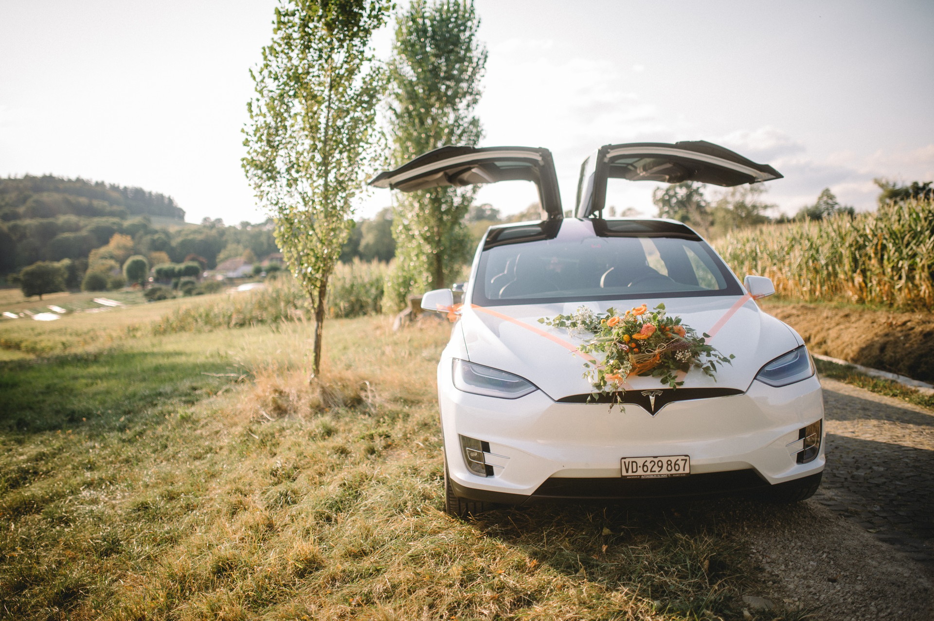 TESLA 7 Places Model X 100D toutes options Raven Long Range 2020-image-0
