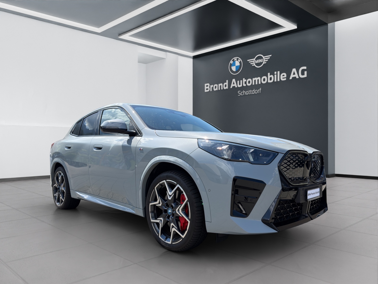 BMW iX2 30 xDrive-image-7