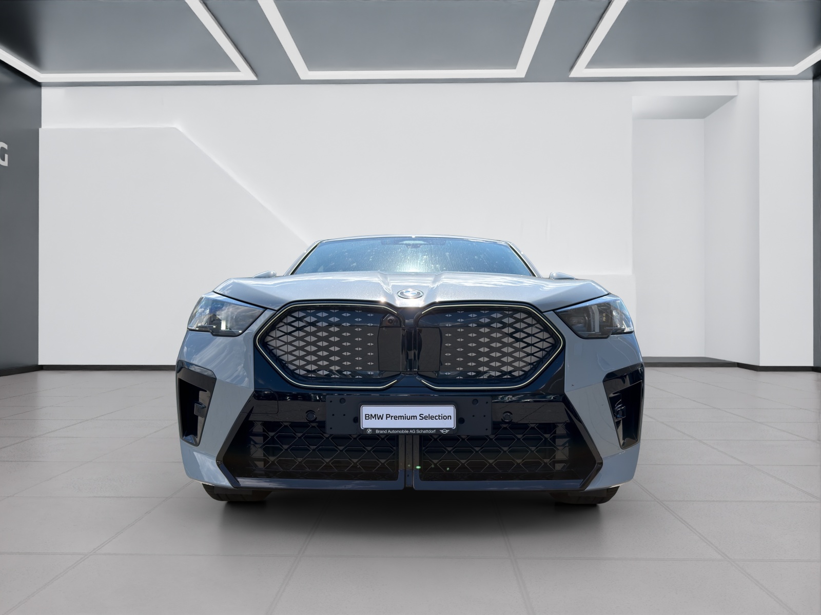 BMW iX2 30 xDrive-image-8
