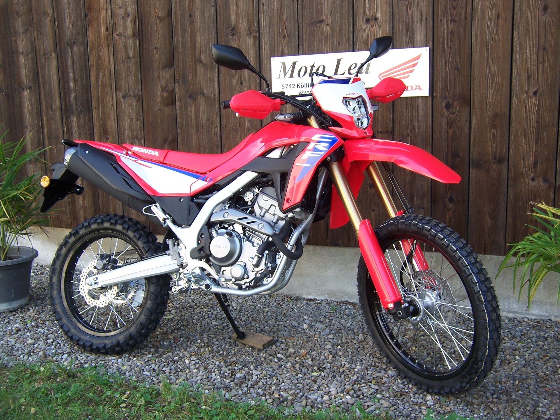 HONDA CRF 300 L-image-6