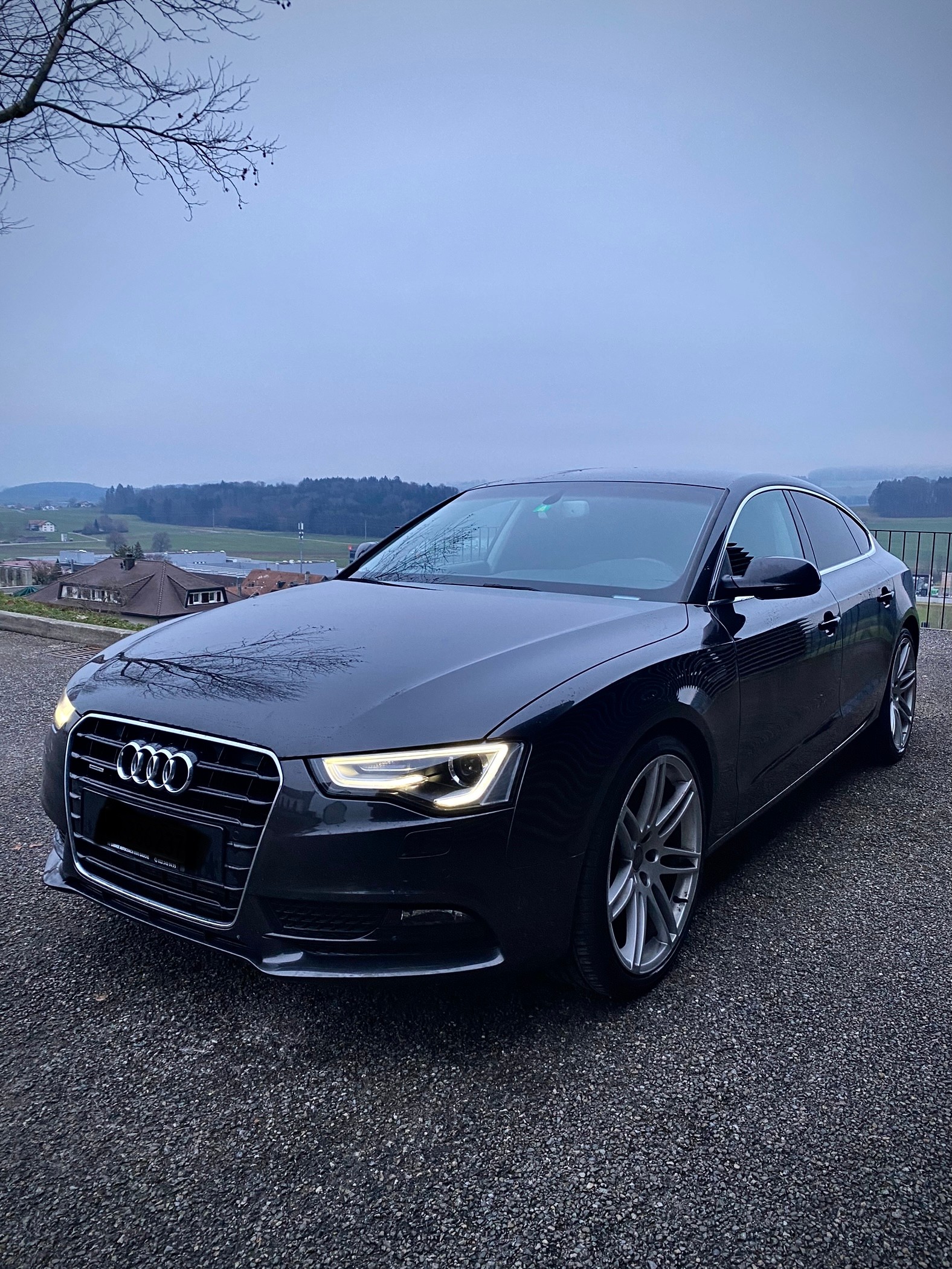 AUDI A5 Sportback 2.0 TDI quattro S-tronic