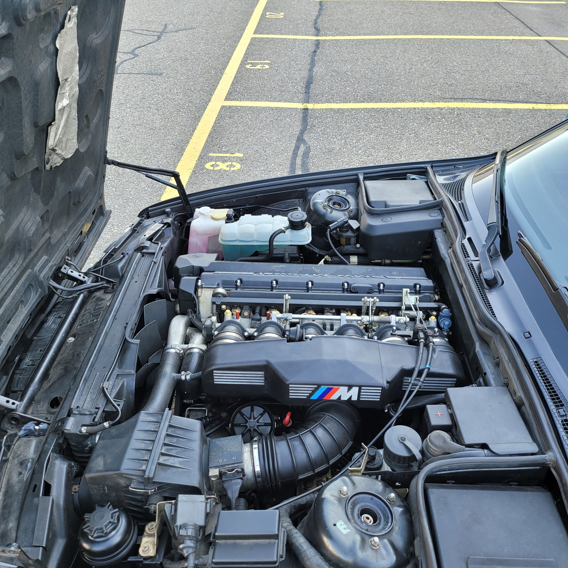BMW-image-5
