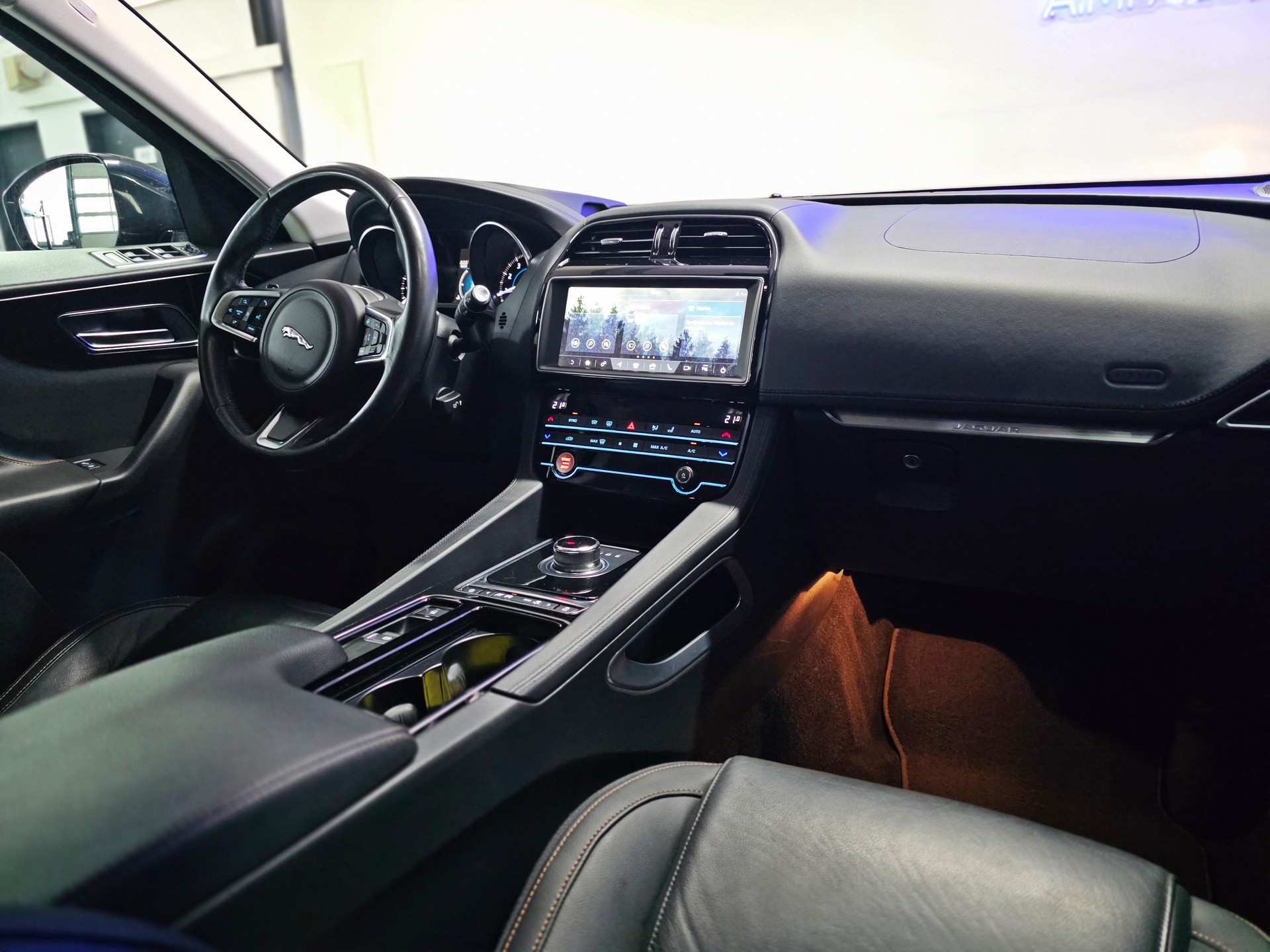 JAGUAR F-Pace 25t 2.0 Pure AWD Automatik-image-16