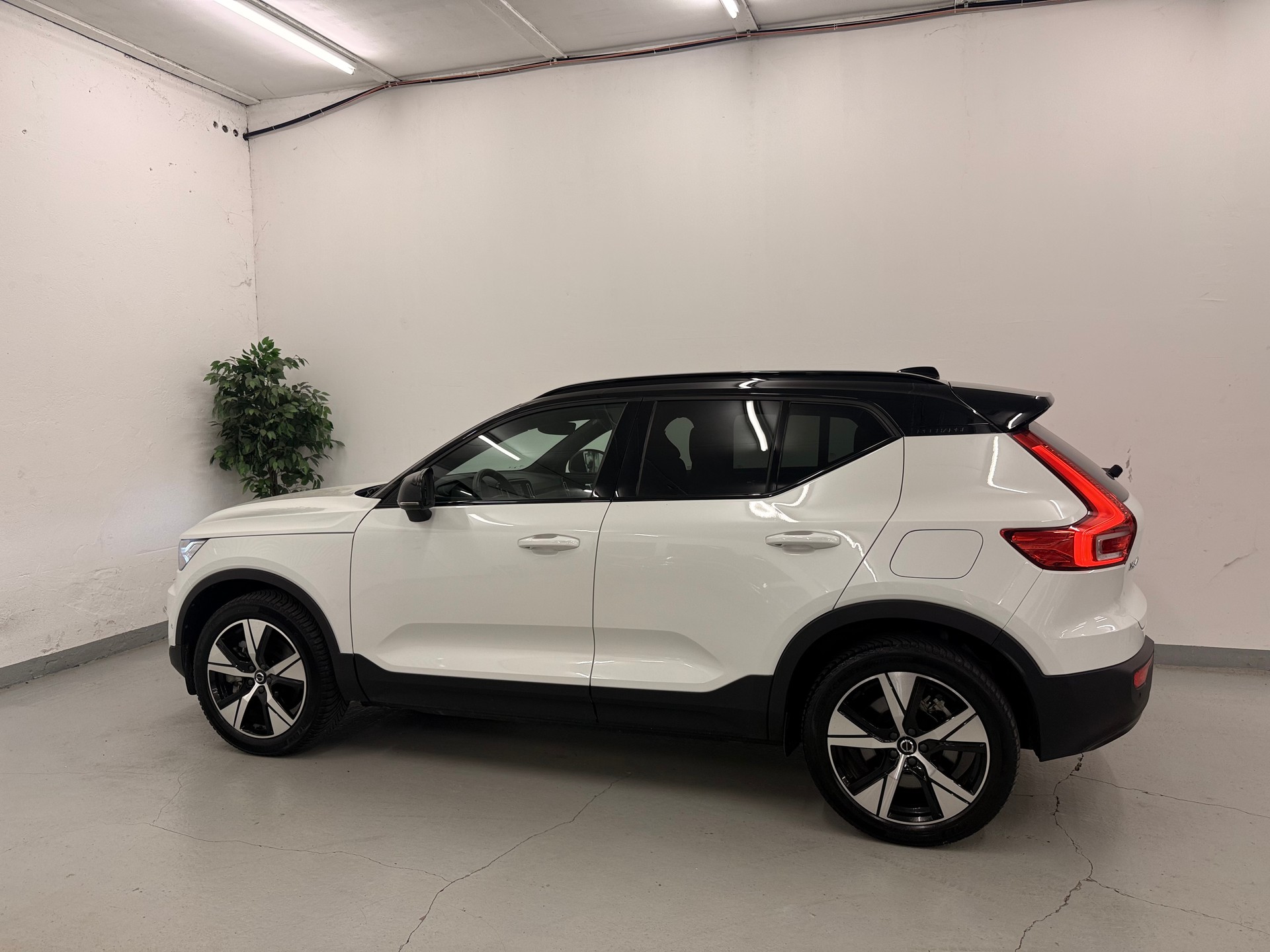 VOLVO XC40 Recharge P8 Twin AWD Pure Electric Plus-image-5