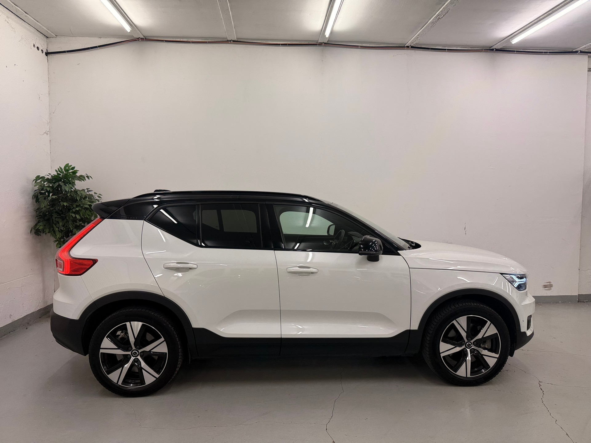 VOLVO XC40 Recharge P8 Twin AWD Pure Electric Plus-image-4