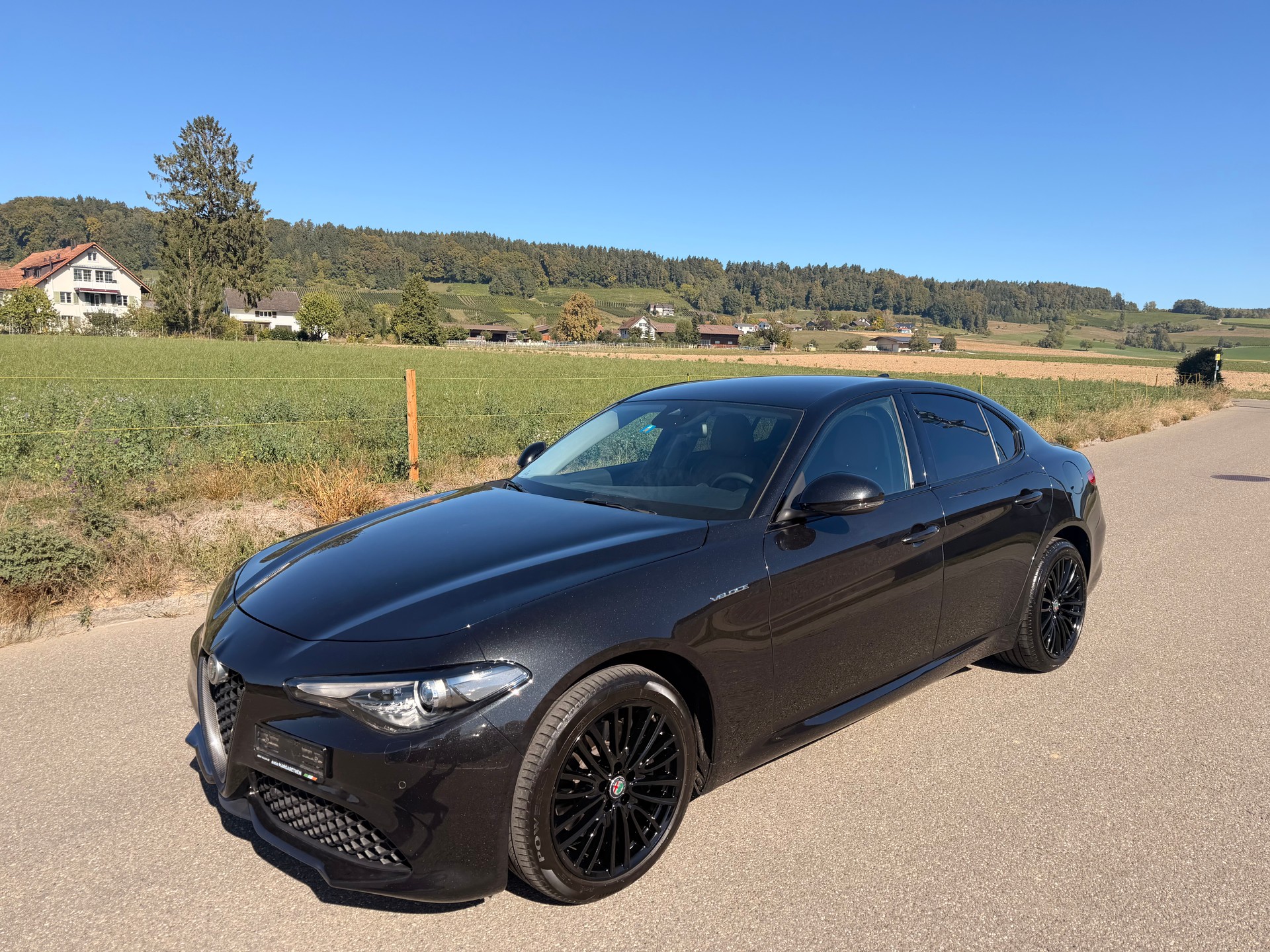 ALFA ROMEO 2.0 Q4 Veloce-image-1