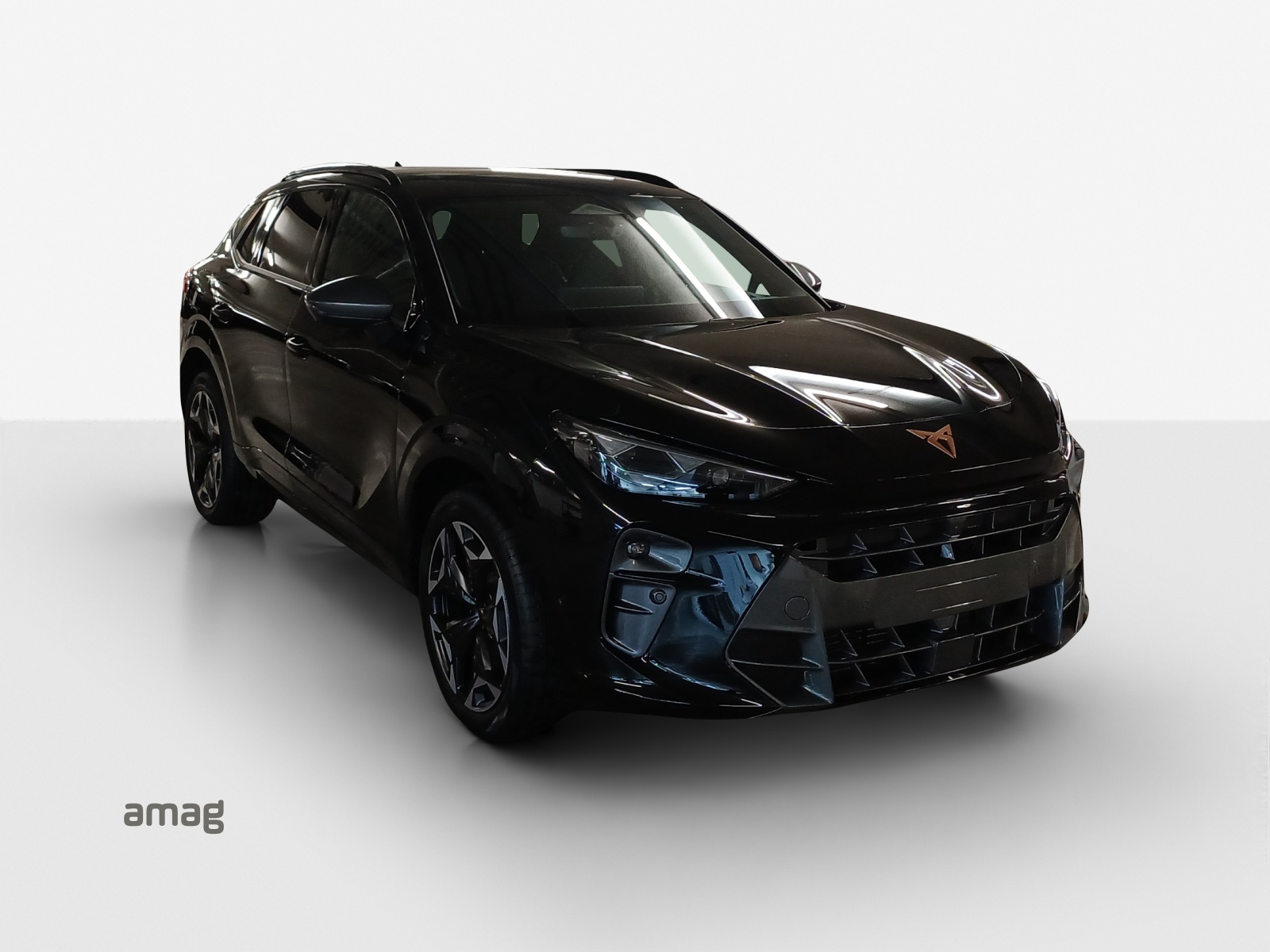 CUPRA Terramar 2.0 TSI DSG Prime Edition VZ 4Drive-image-5