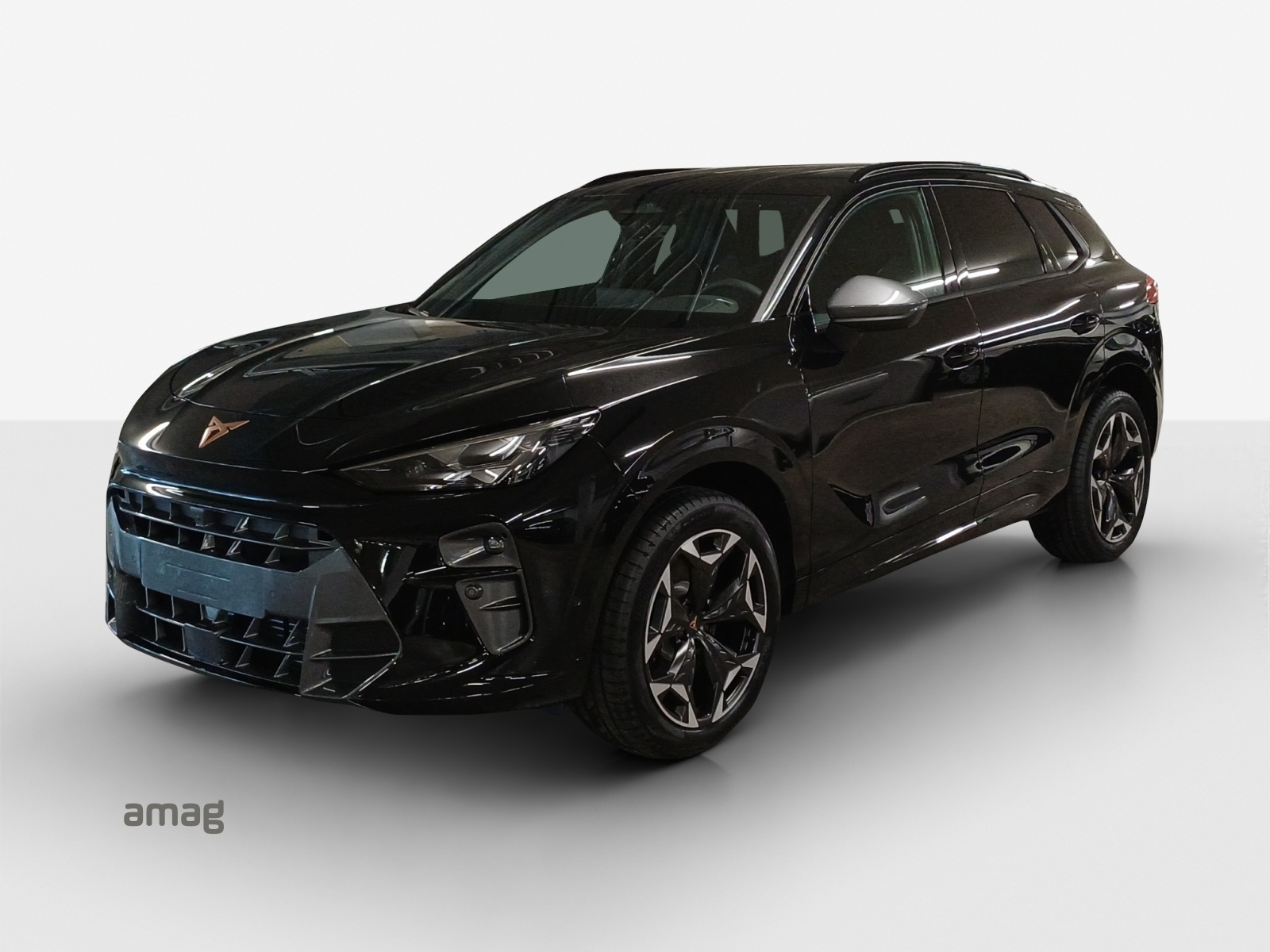 CUPRA Terramar 2.0 TSI DSG Prime Edition VZ 4Drive-image-0