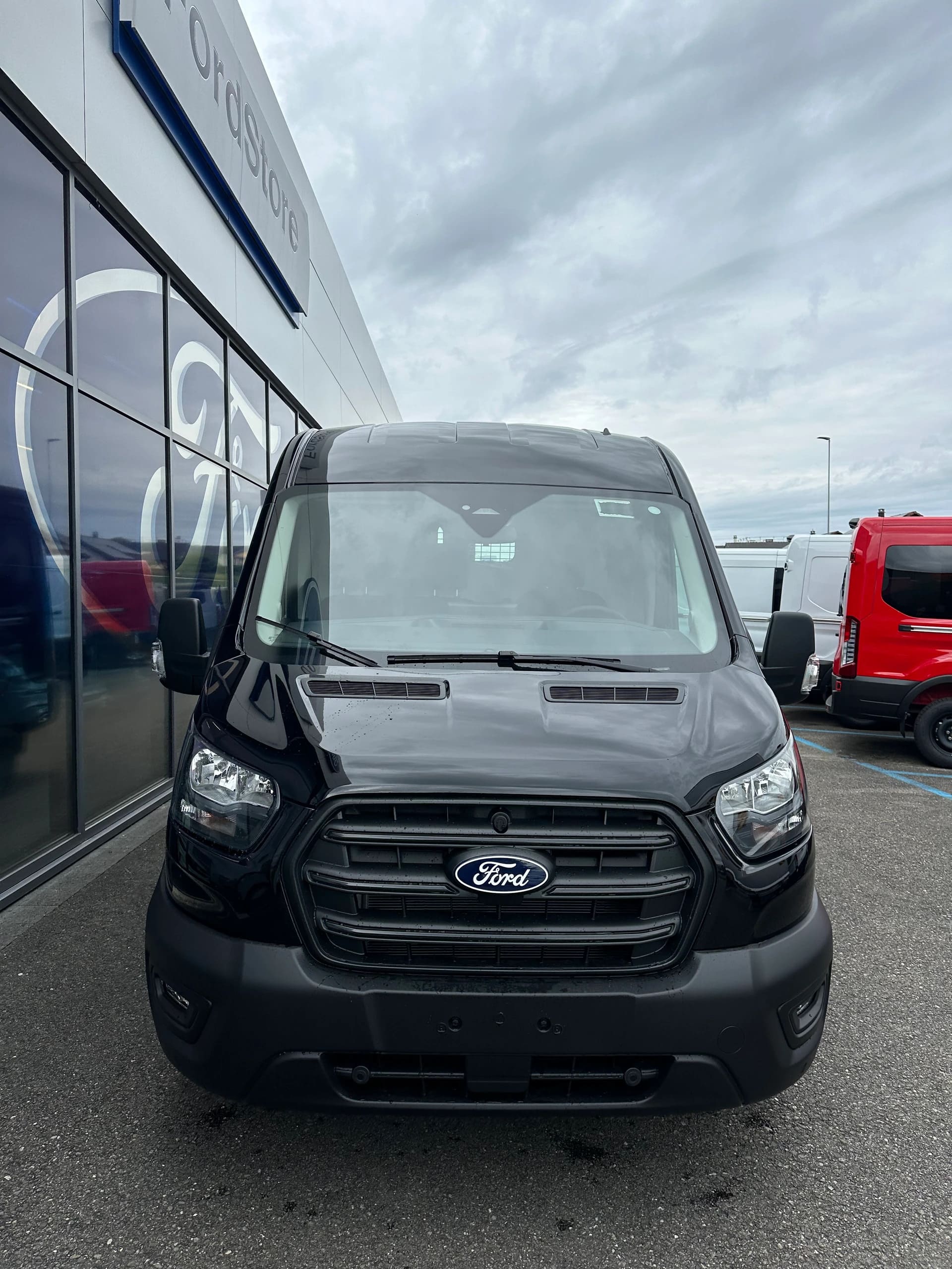 FORD Transit van 350 L3H2 2.0 EcoBl Trend/165CV/HD/Aut.-image-8