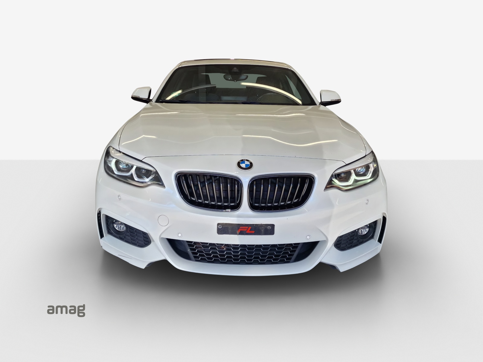 BMW 230i Steptronic-image-6