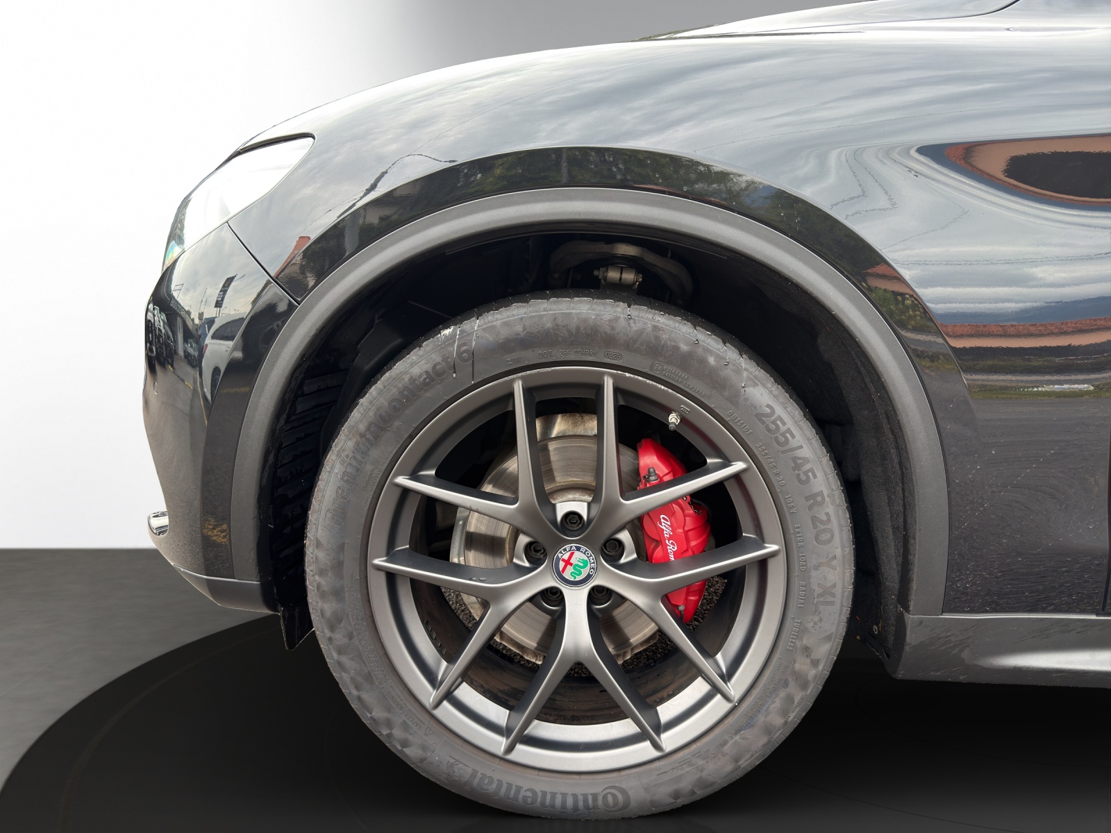 ALFA ROMEO Stelvio 2.0 Super Q4-image-5