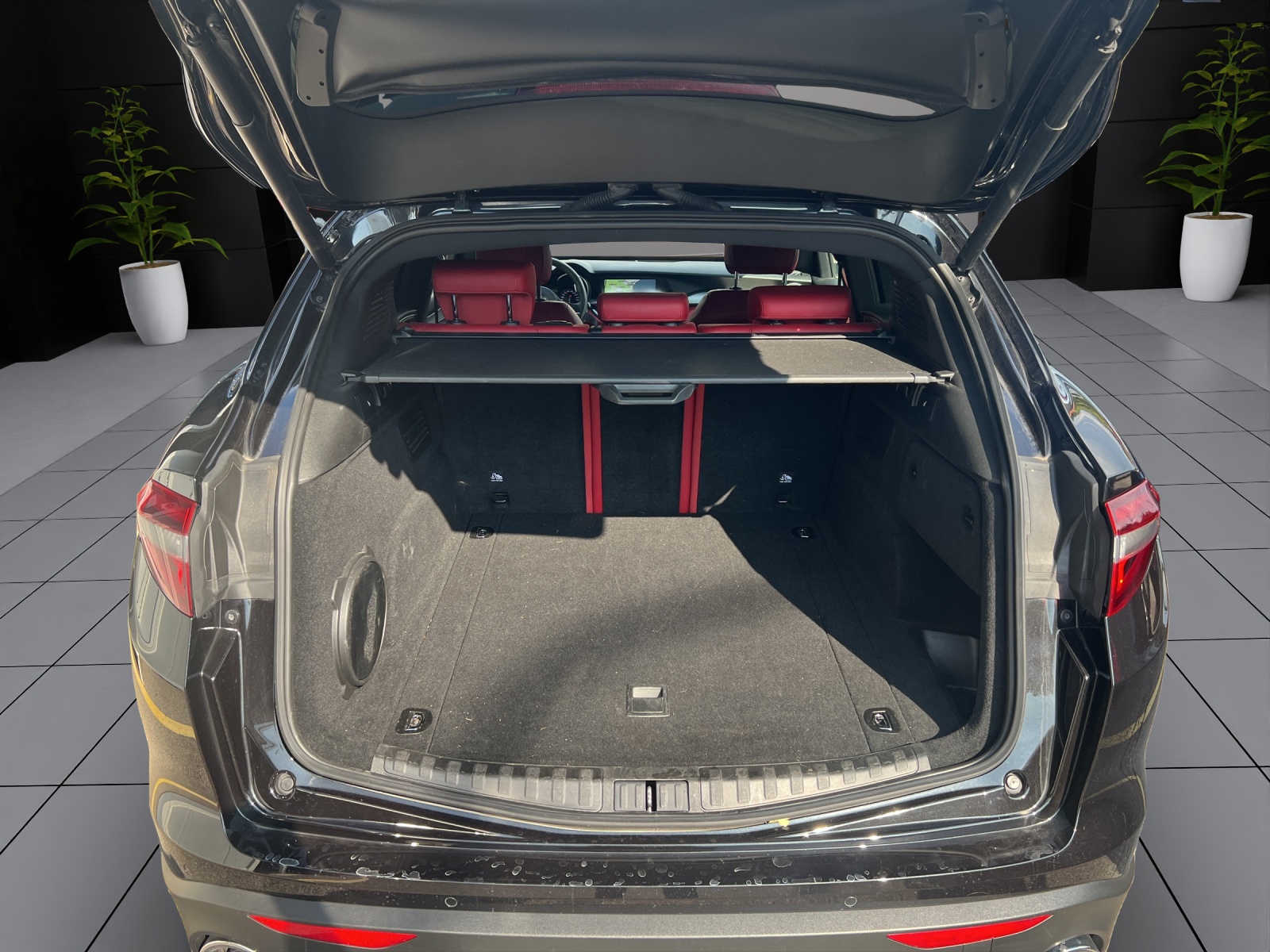 ALFA ROMEO Stelvio 2.0 Super Q4-image-3