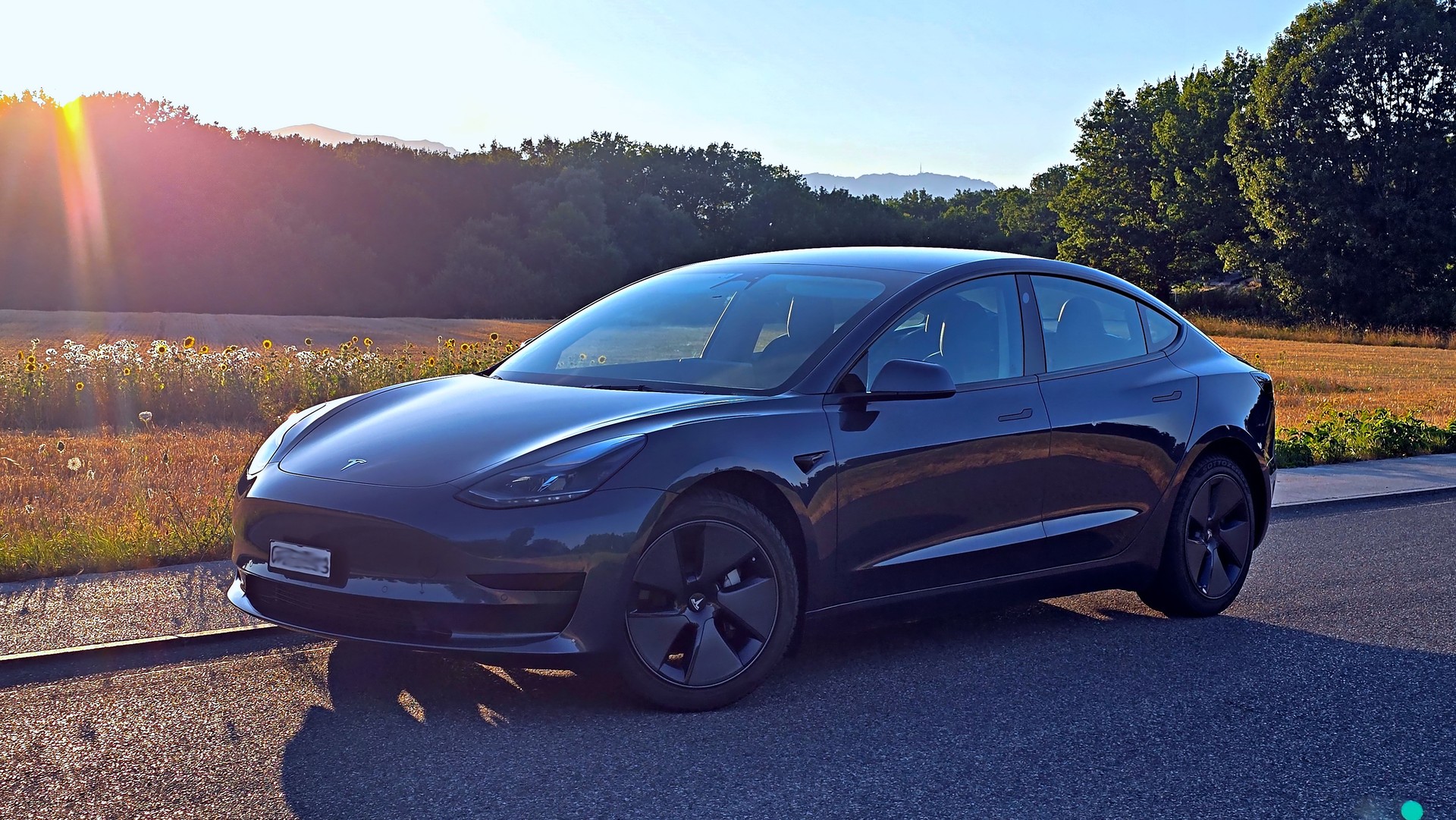 TESLA Standard Range Plus RWD-image-15