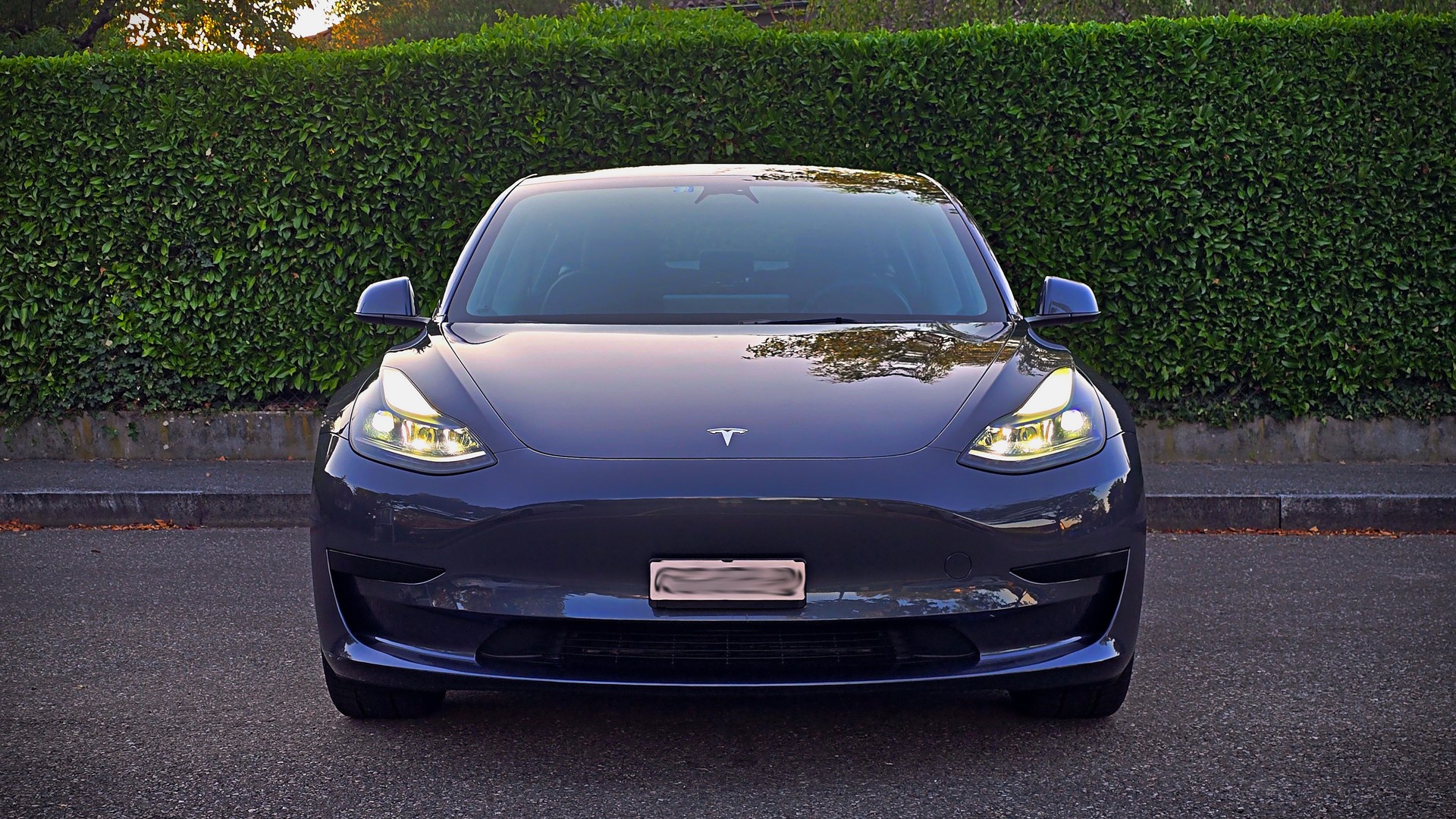 TESLA Standard Range Plus RWD-image-4