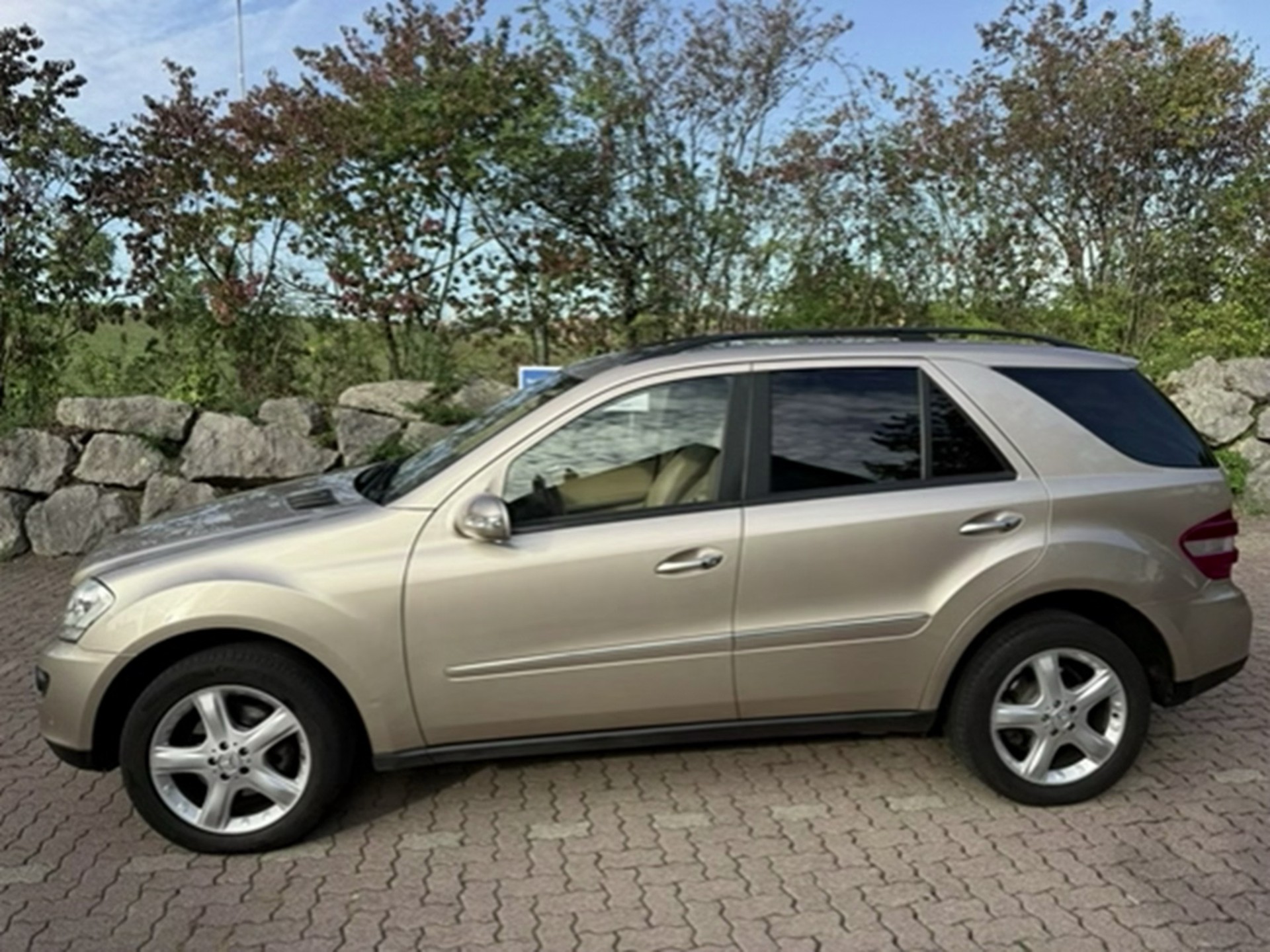 MERCEDES-BENZ ML 320 CDI-image-2