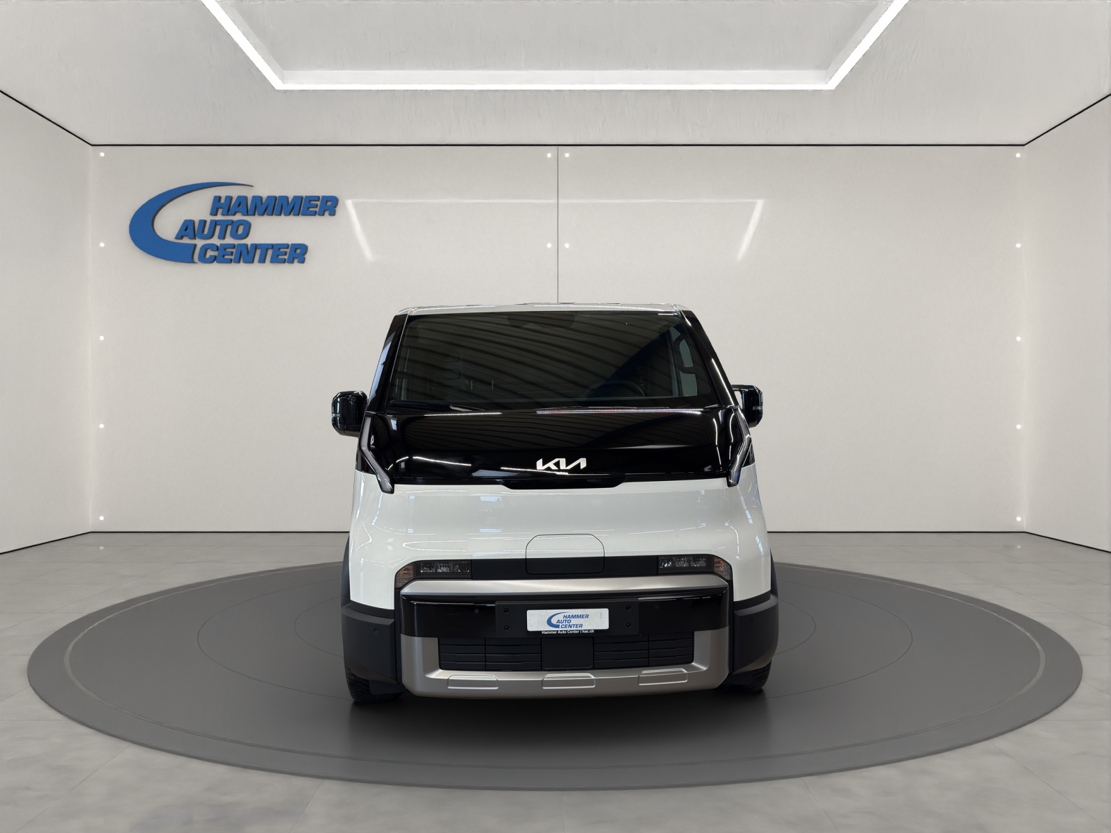 KIA Cargo 71.2 kWh Plus-image-7