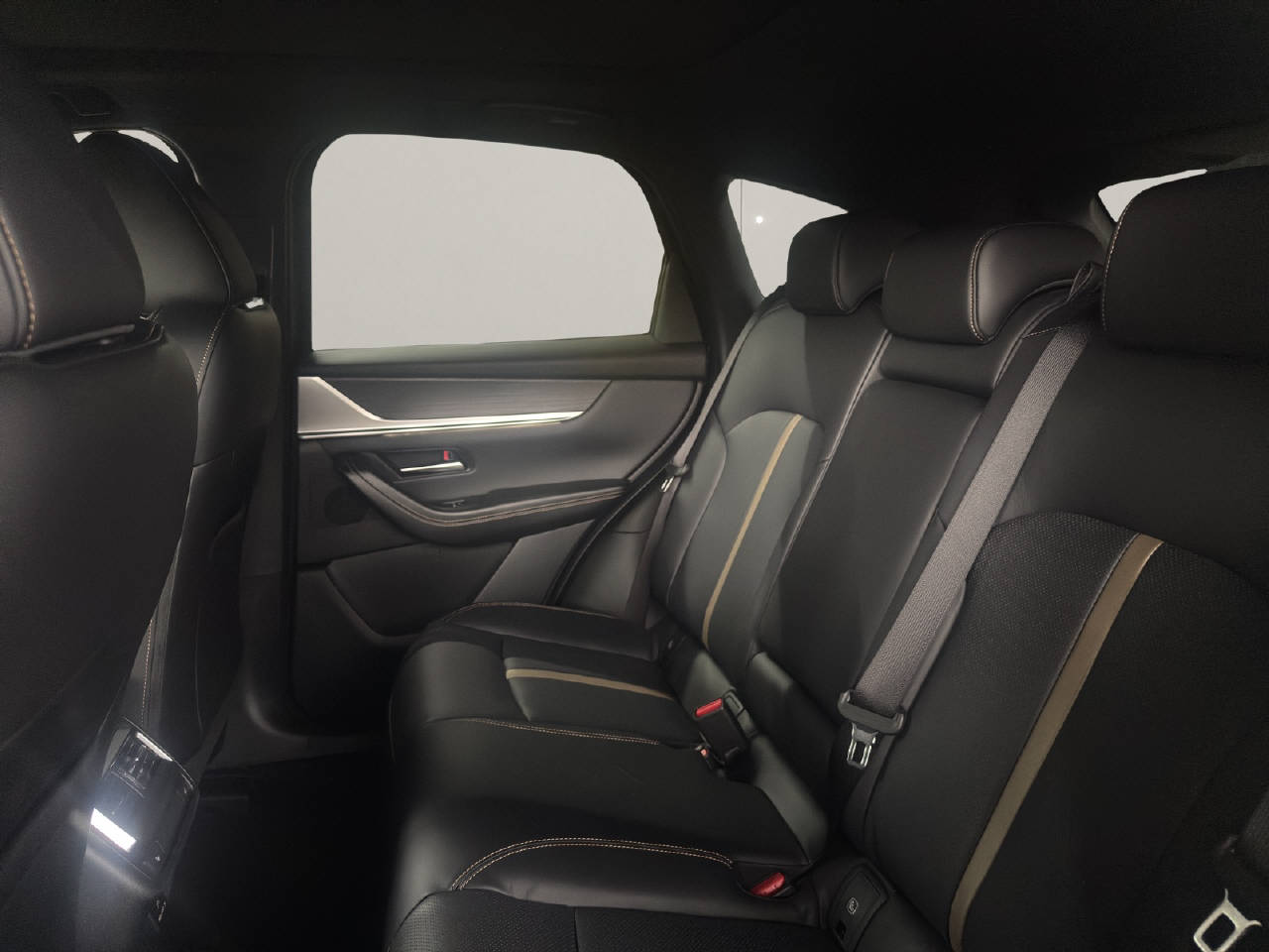 MAZDA CX-60 3.3 D 254 PS Homura Plus AWD-image-6